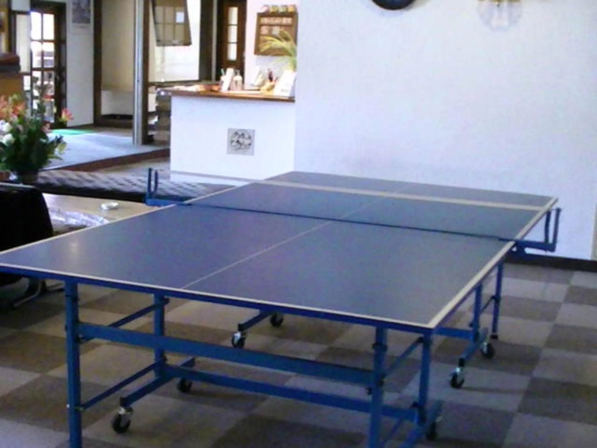 Table tennis in Petit Hotel Shitaka