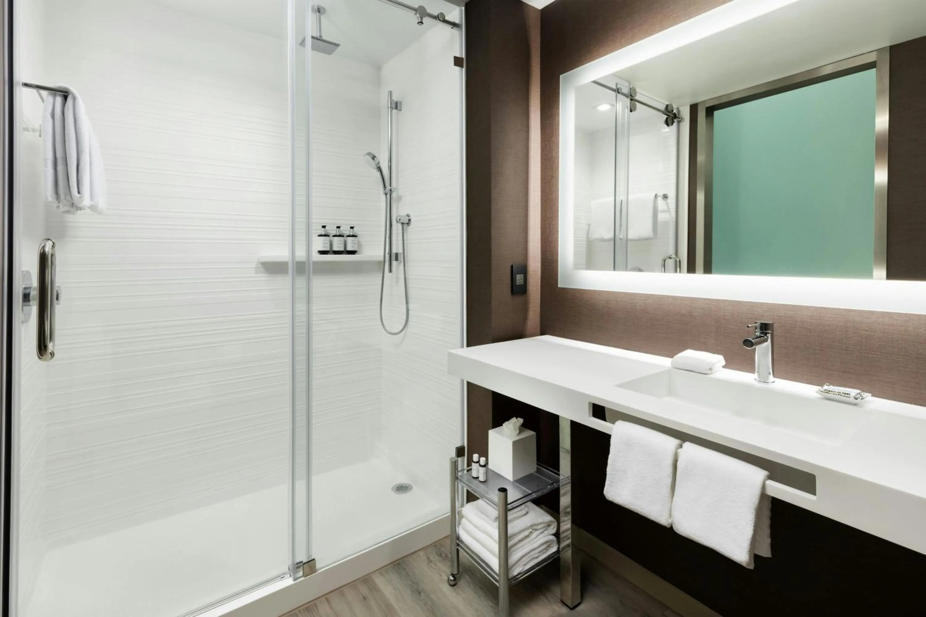 Bathroom in AC Hotel St Petersburg Downtown