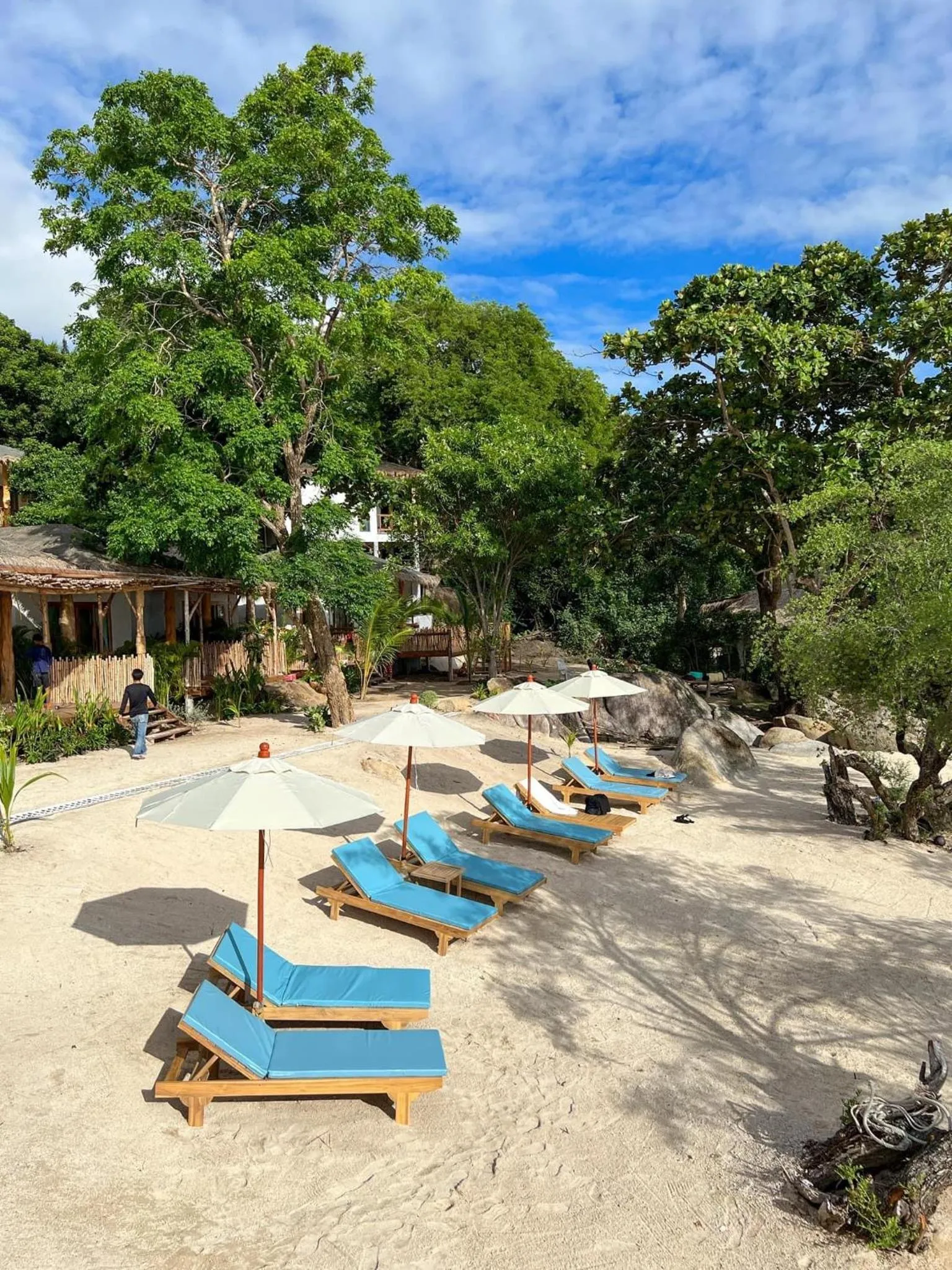 Siam Cookies Cottage