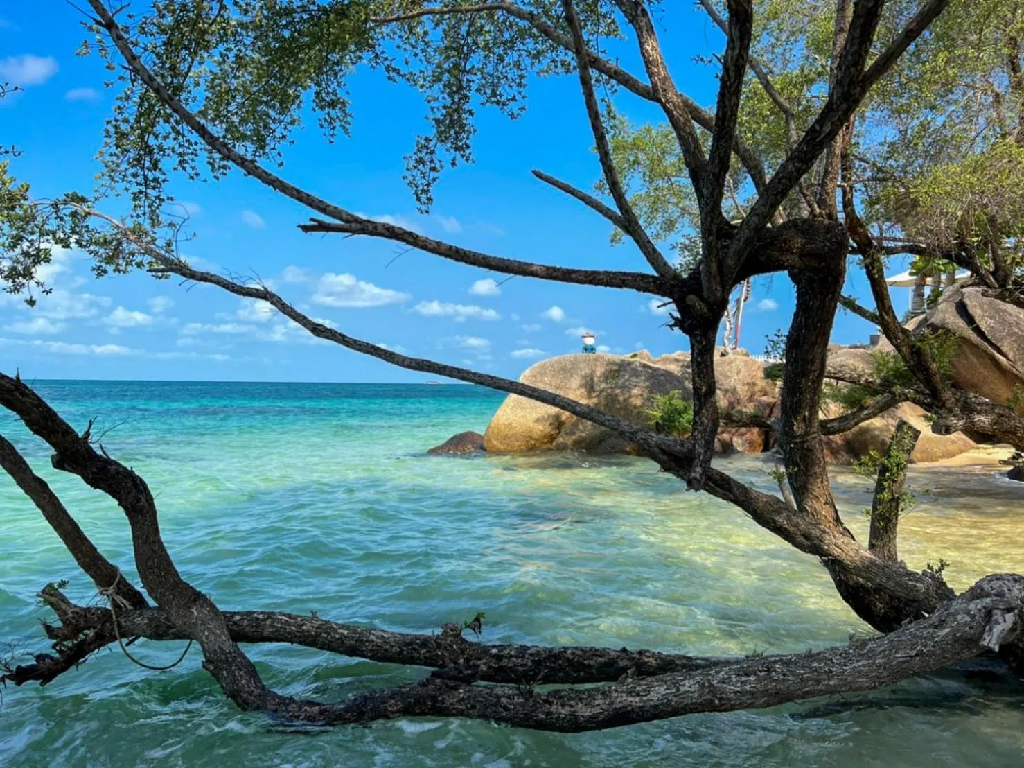 Siam Cookies Cottage