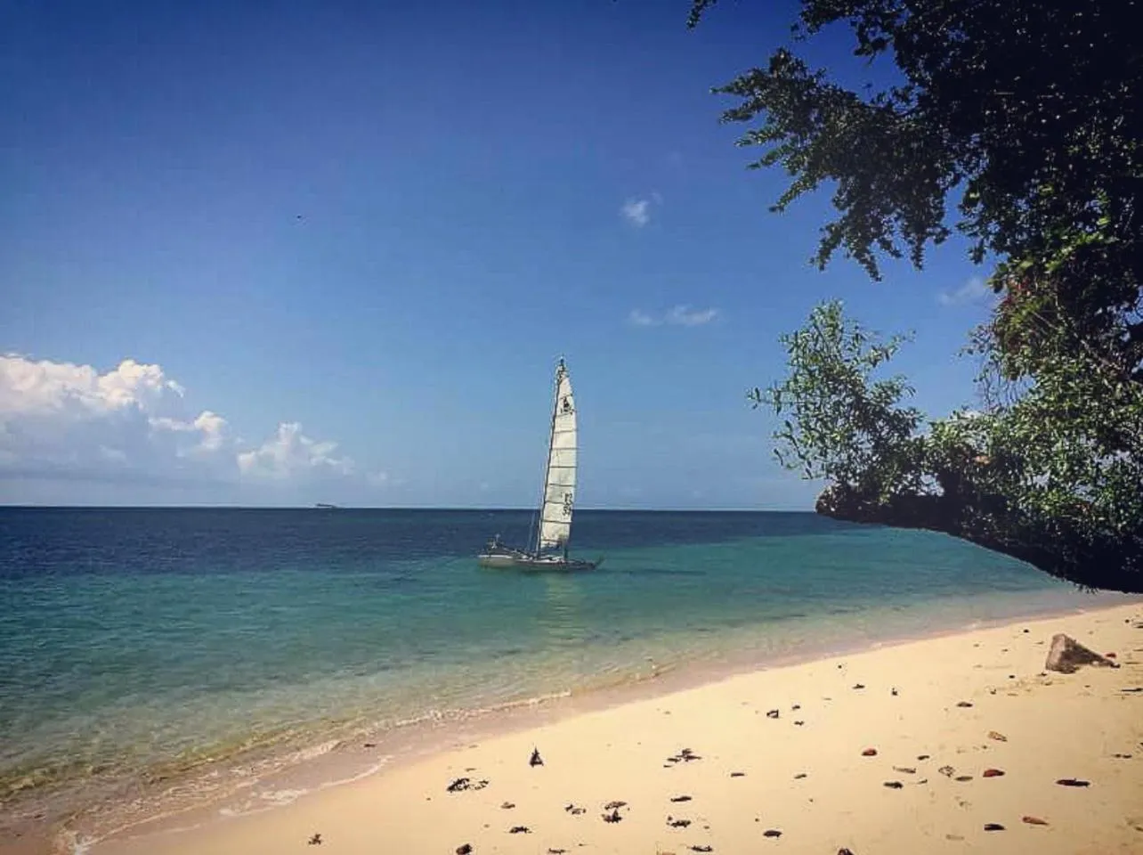 Siam Cookies Cottage