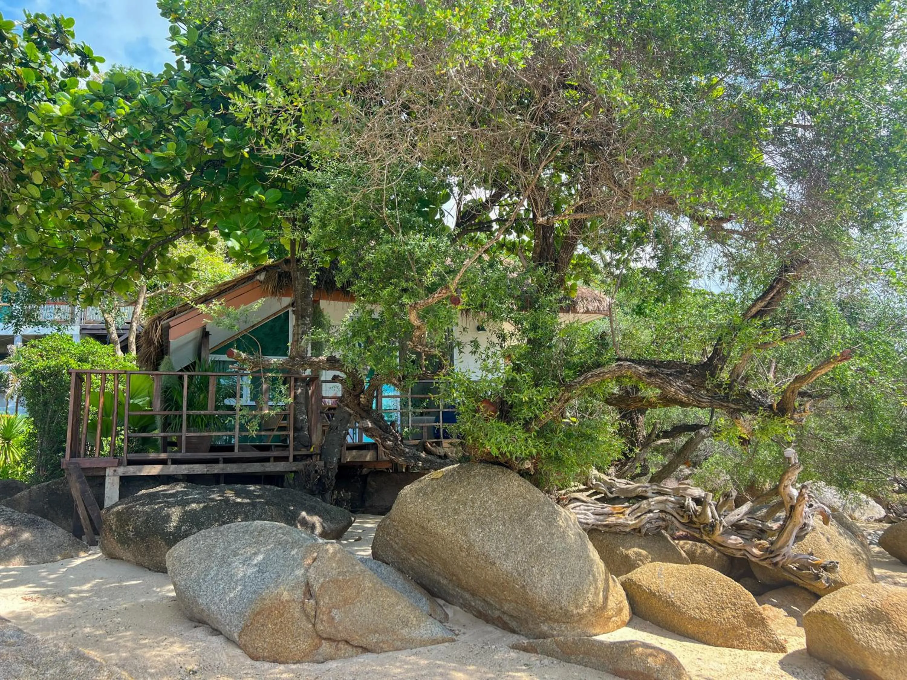 Siam Cookies Cottage