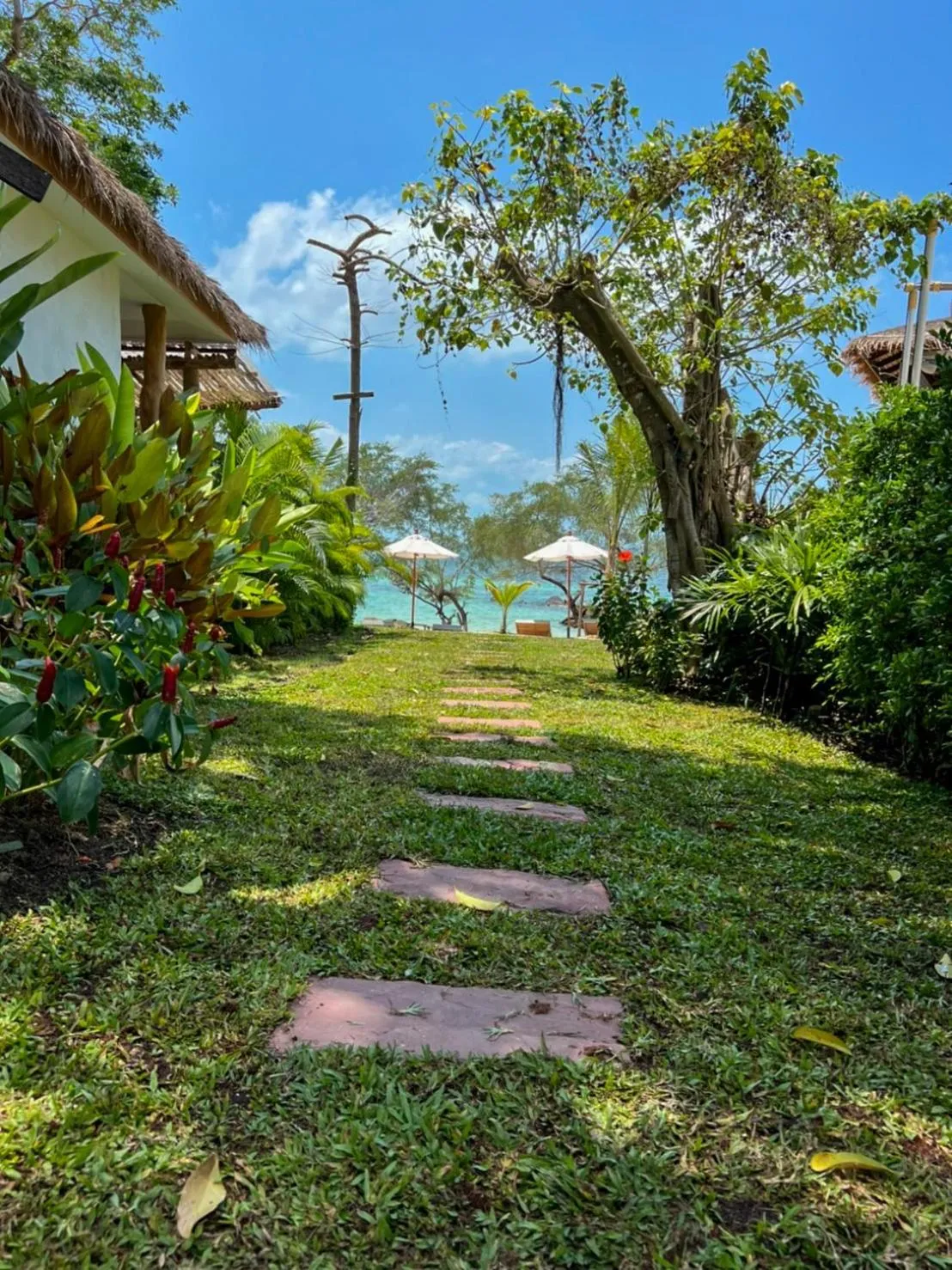 Siam Cookies Cottage