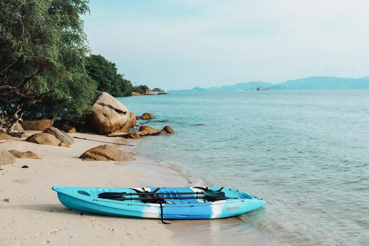 Sports in Siam Cookies Cottage
