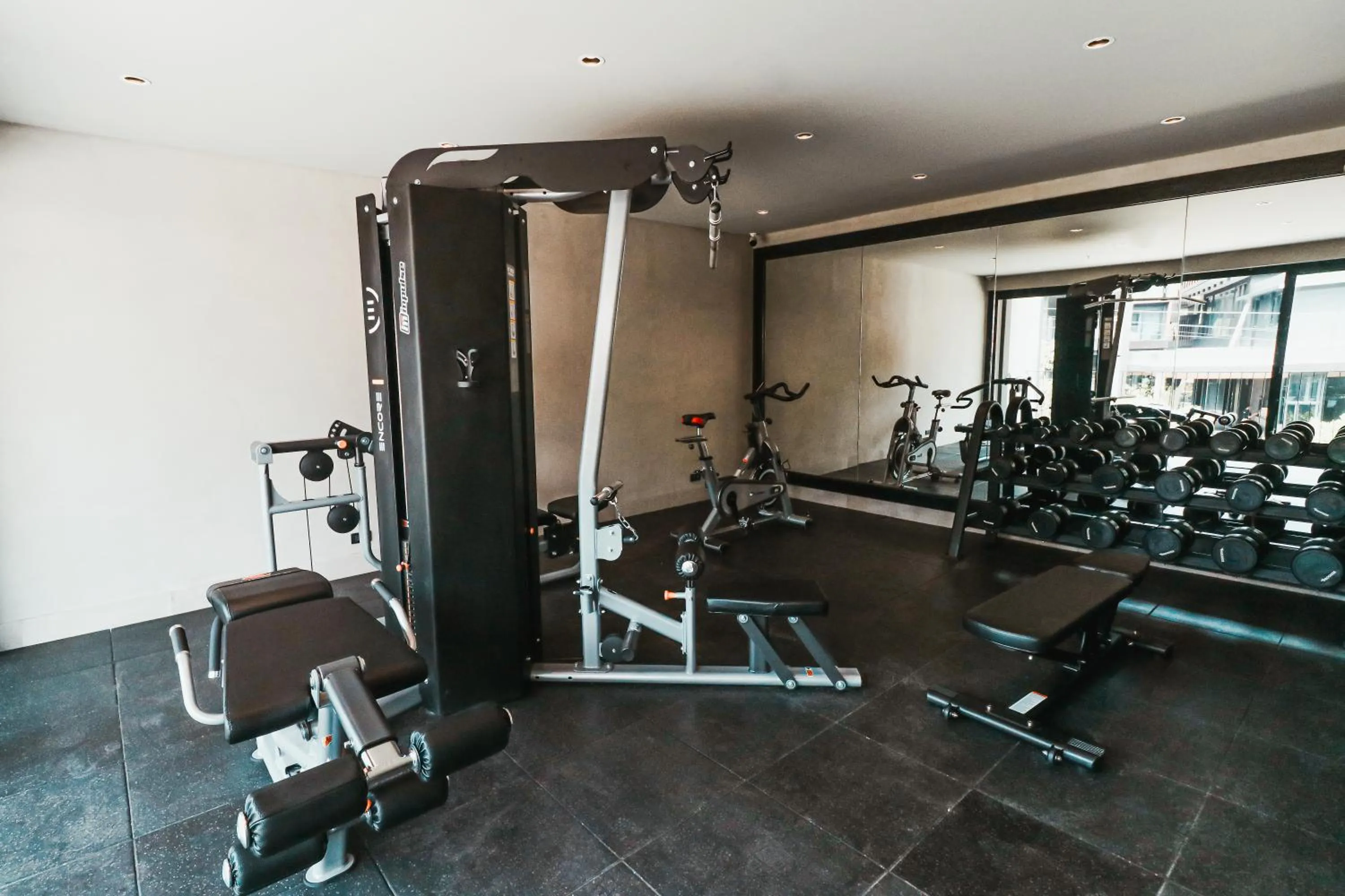 The Funny Lion - El Nido