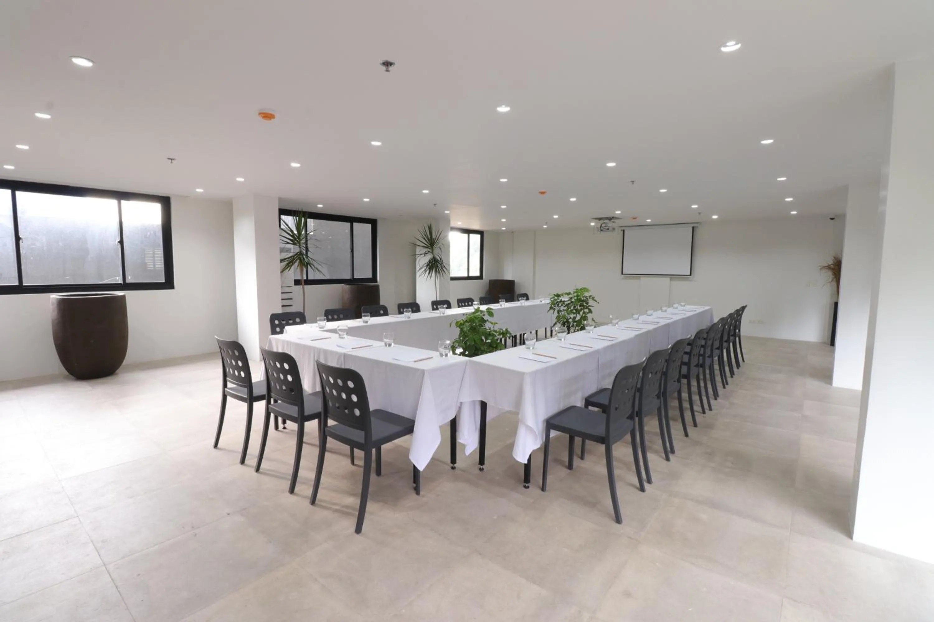 The Funny Lion - El Nido