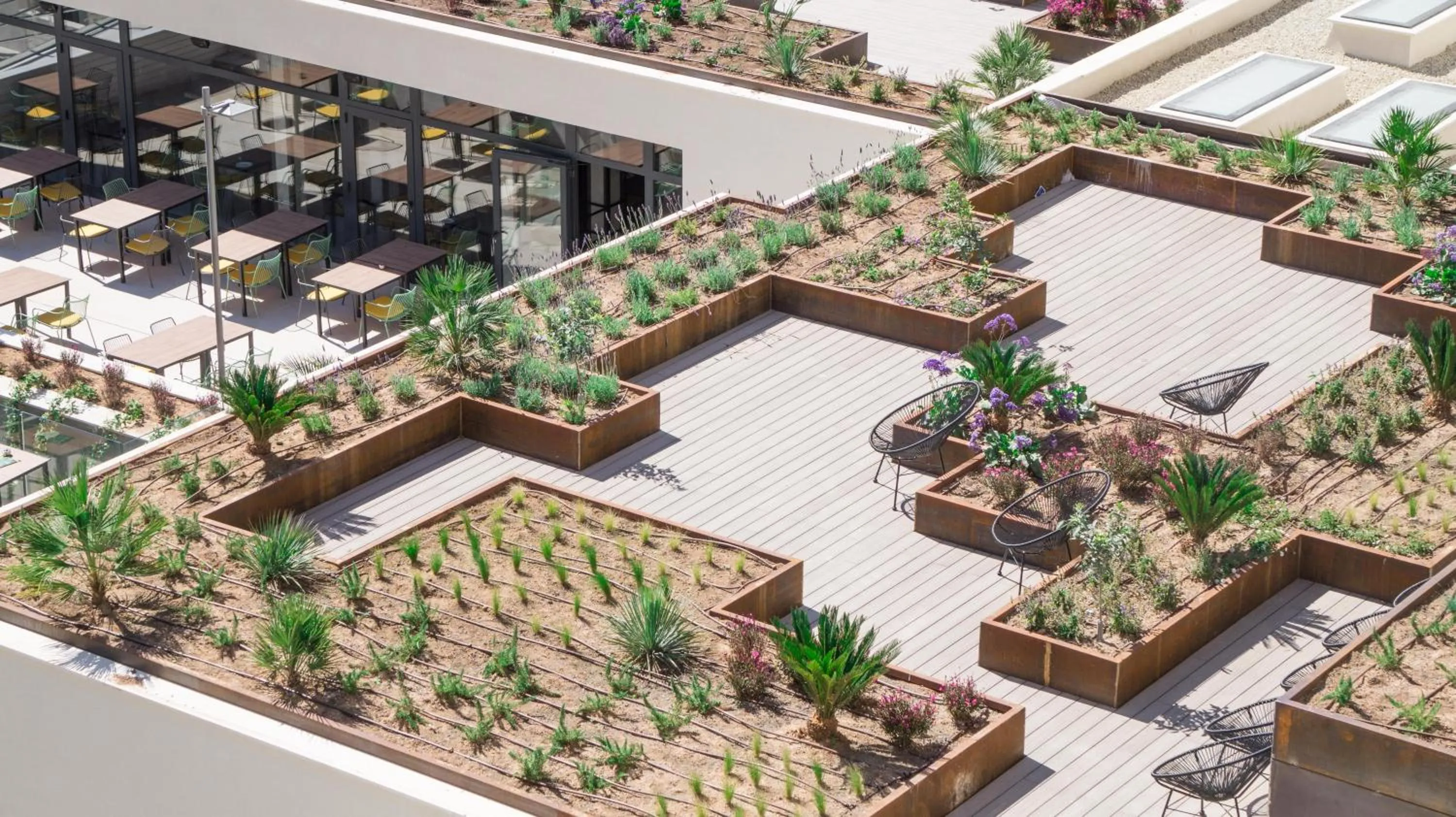 Garden view in Hotel Paradiso Garden