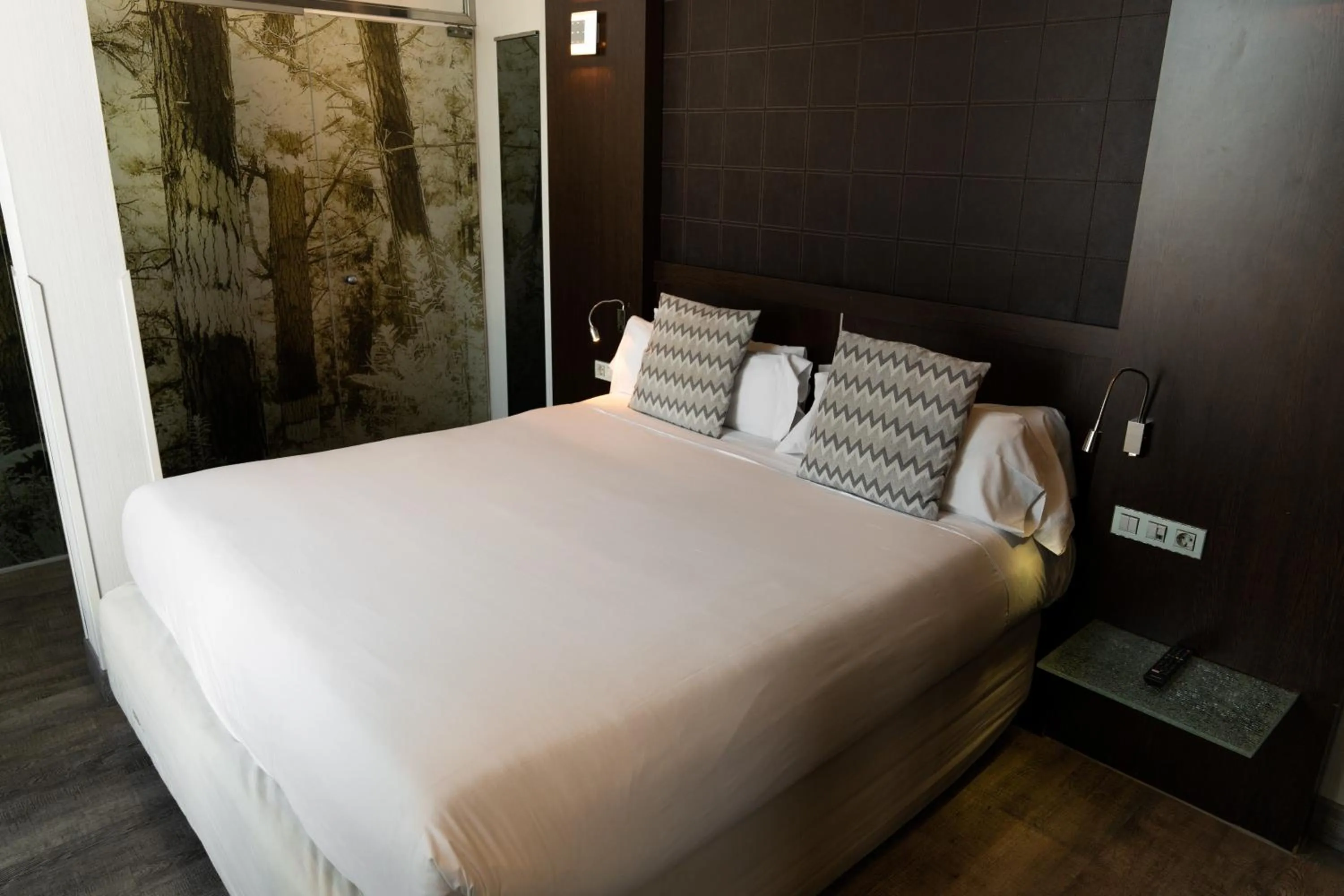 Bed in Petit Palace President Castellana