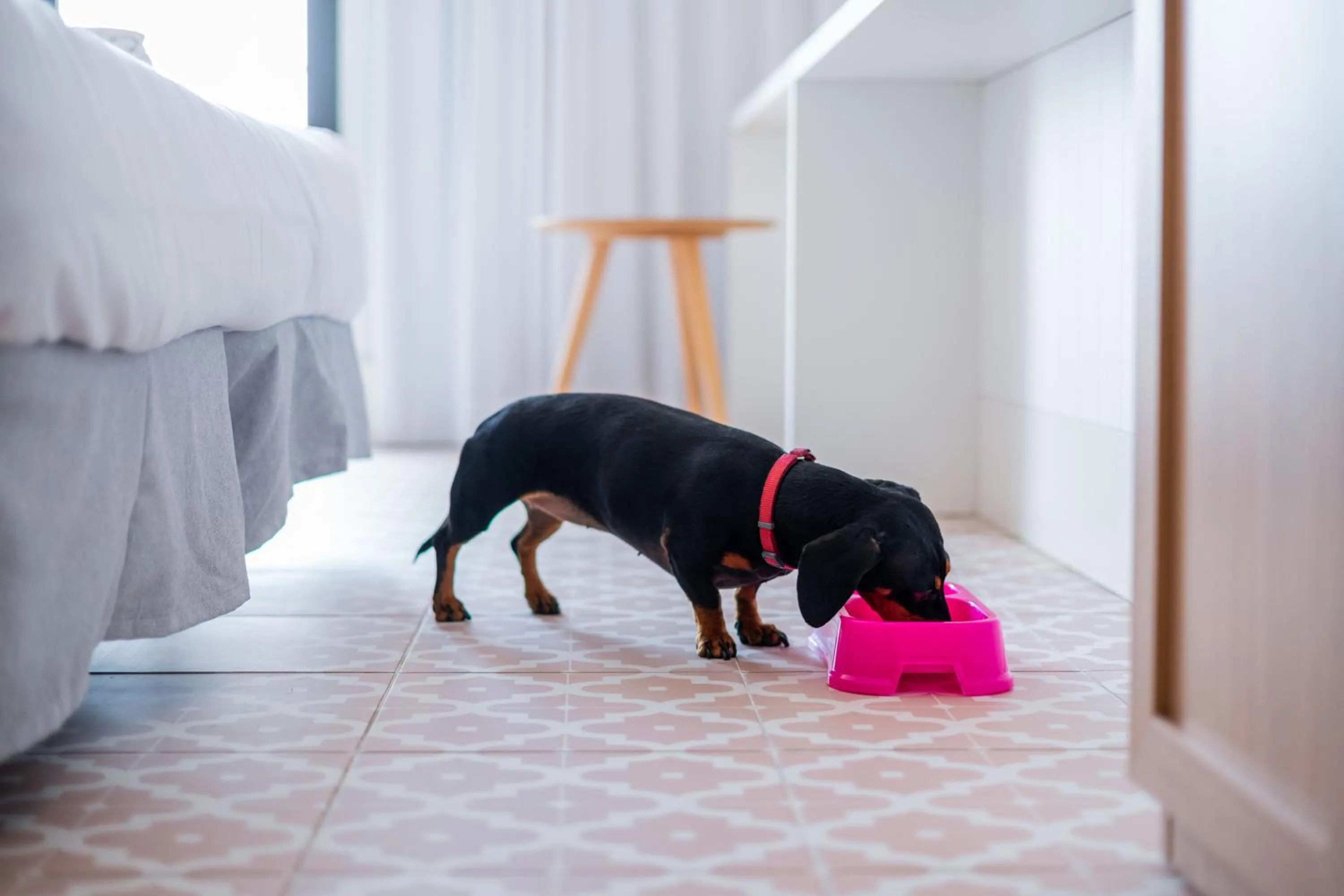 Neptuno Hotel & SPA 4 Sup