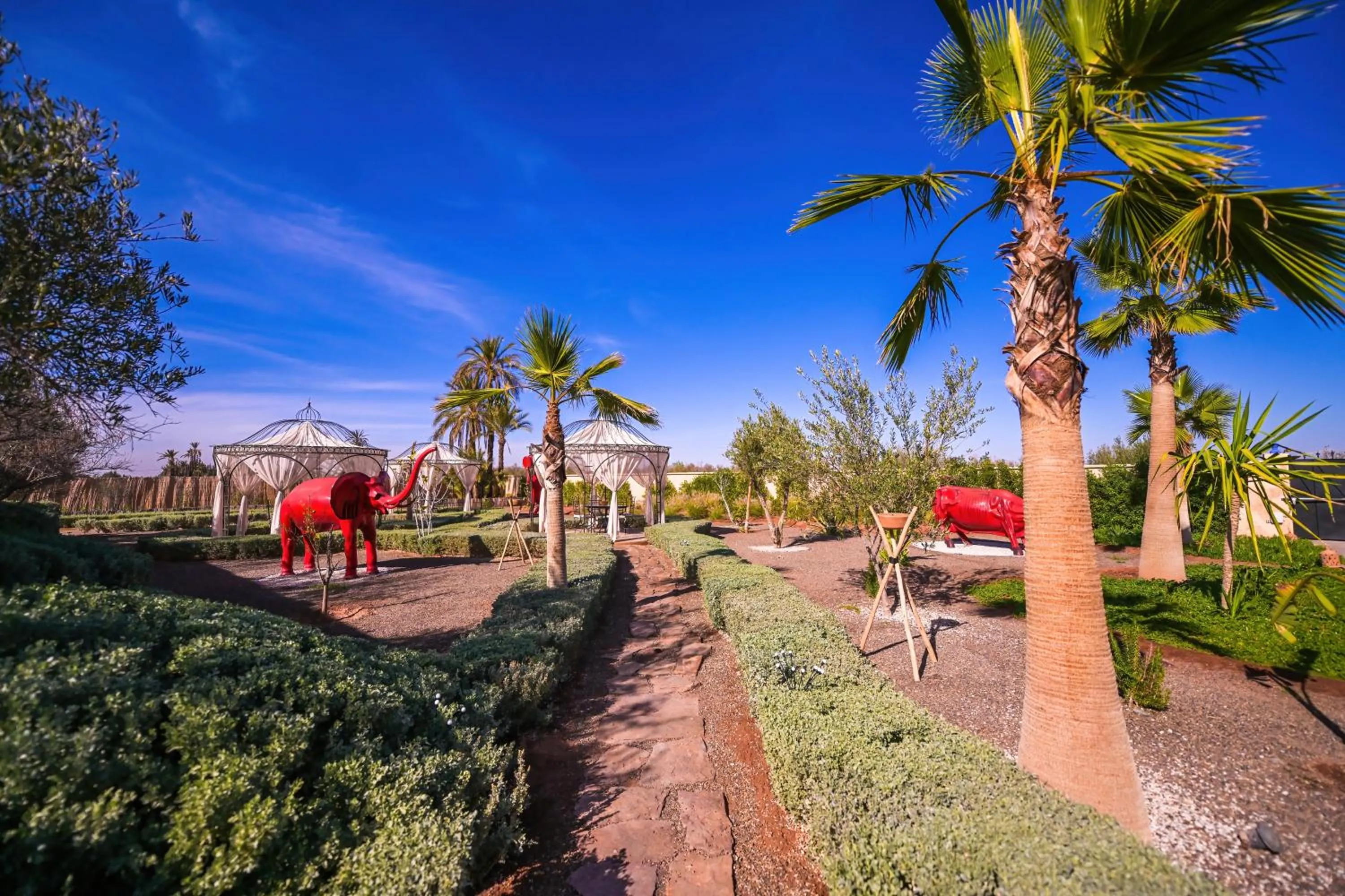 Garden in Maison Daouia