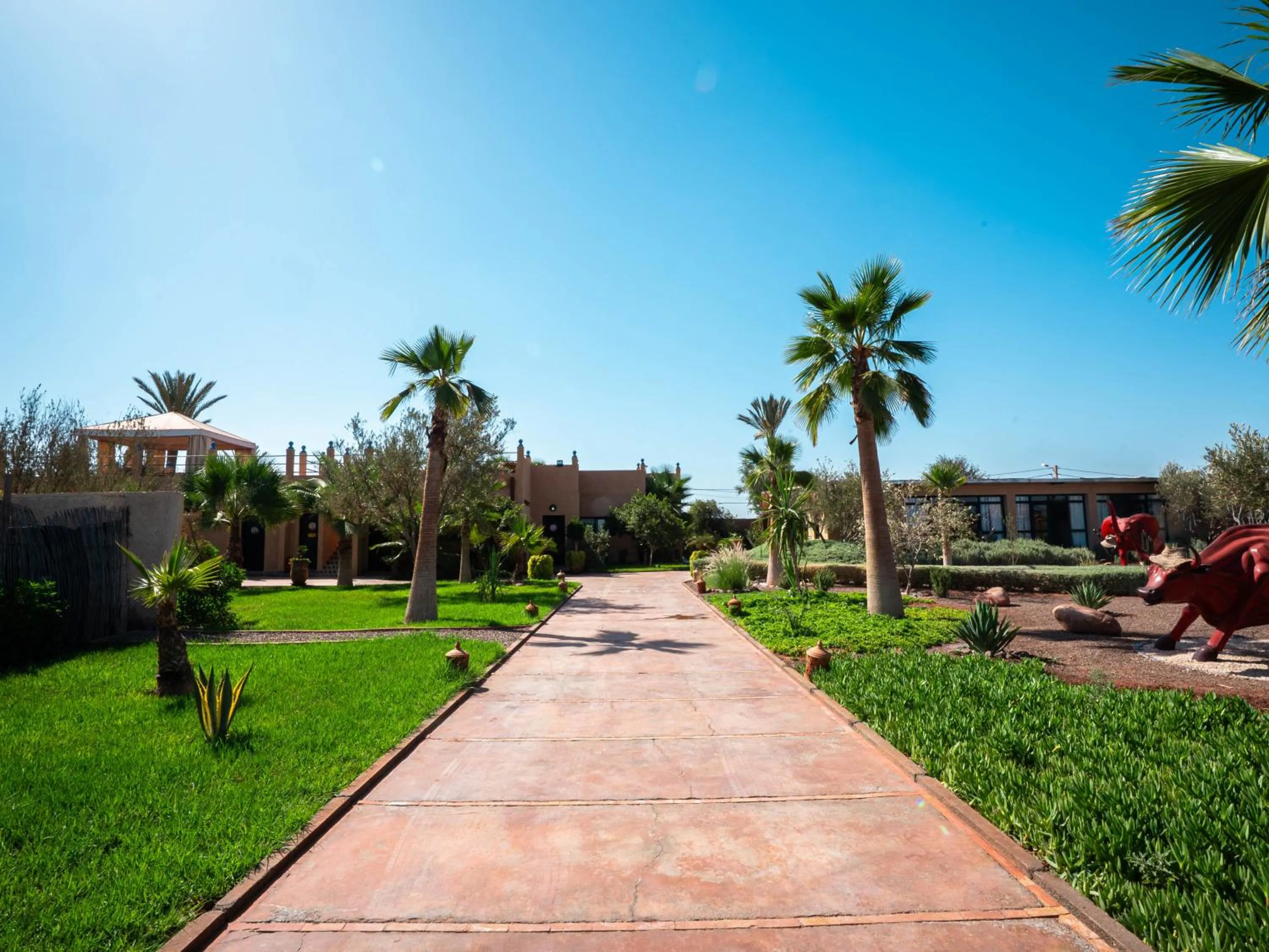 Garden in Maison Daouia