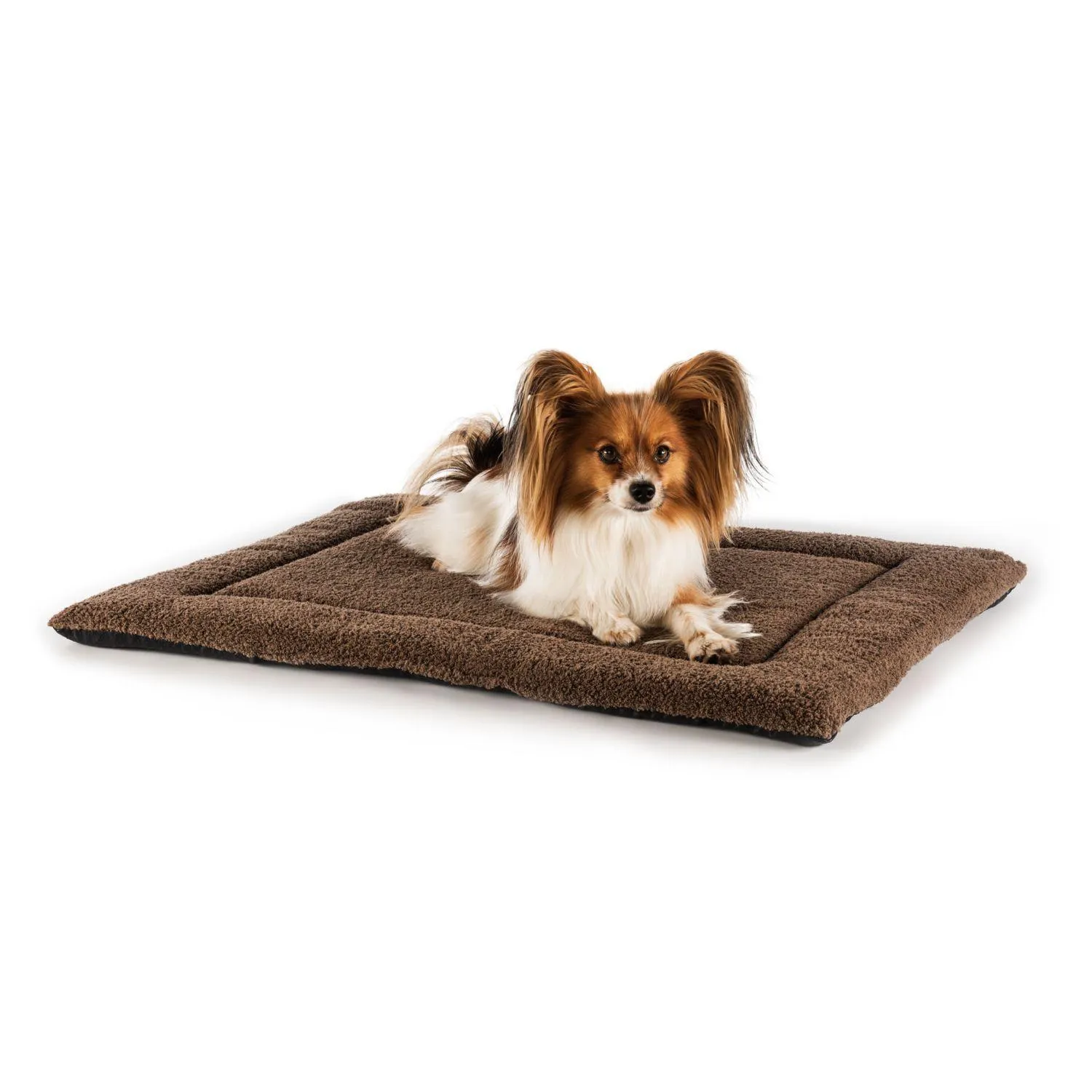 Pets in Hotel Crystal - KitzHorn Suites