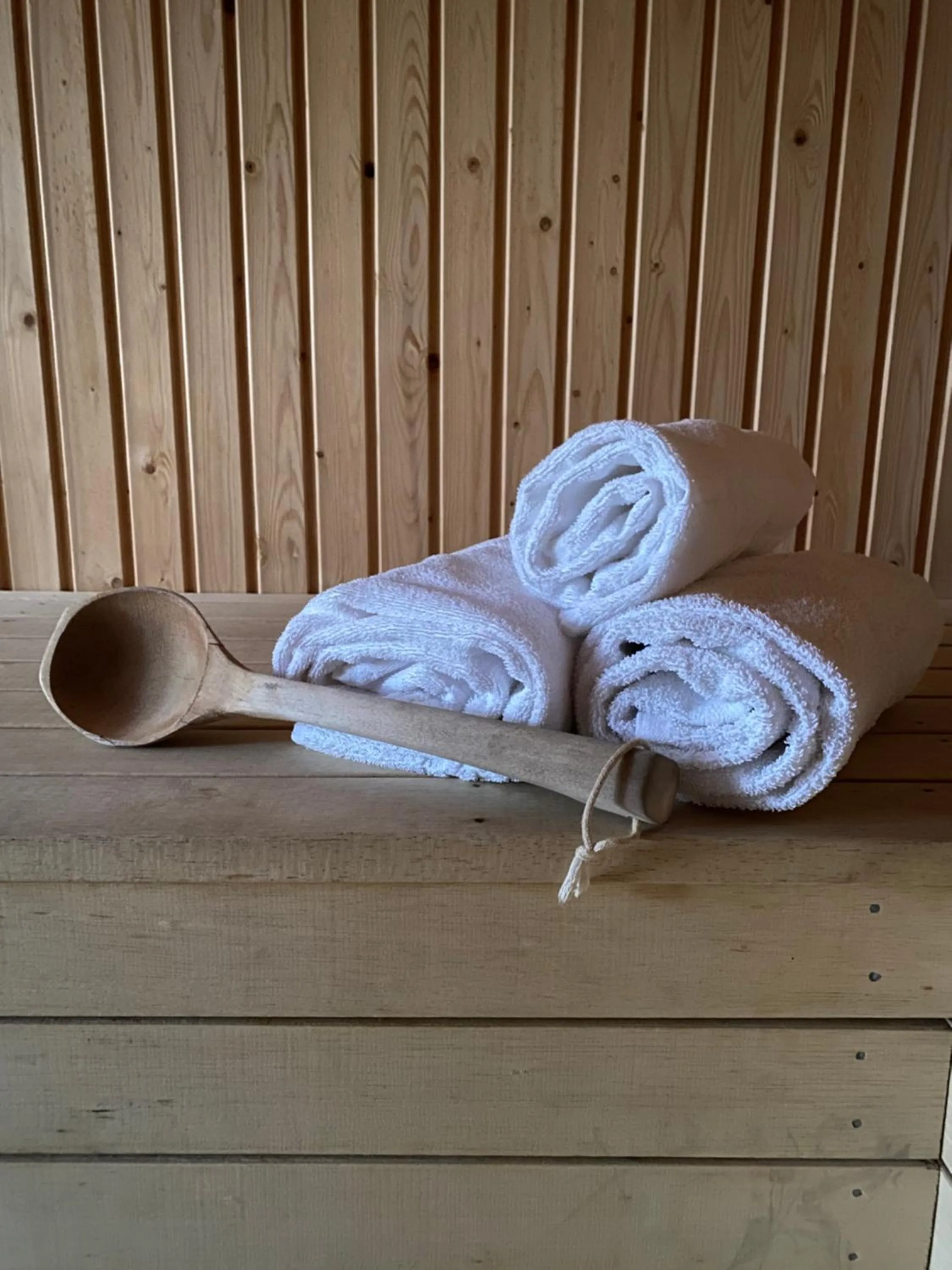 Sauna in Apertins Hotell