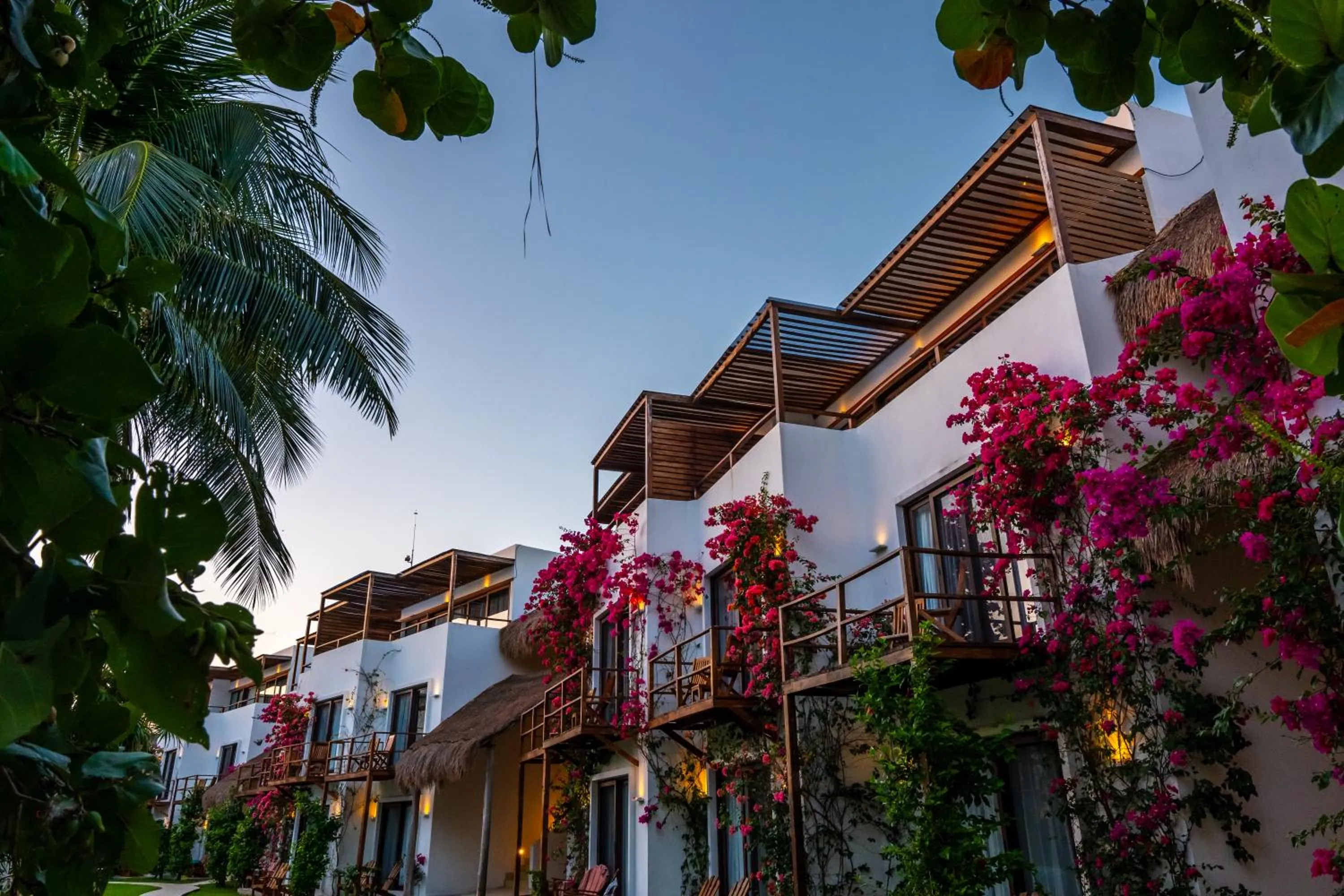 Garden in My Blue Hotel Holbox