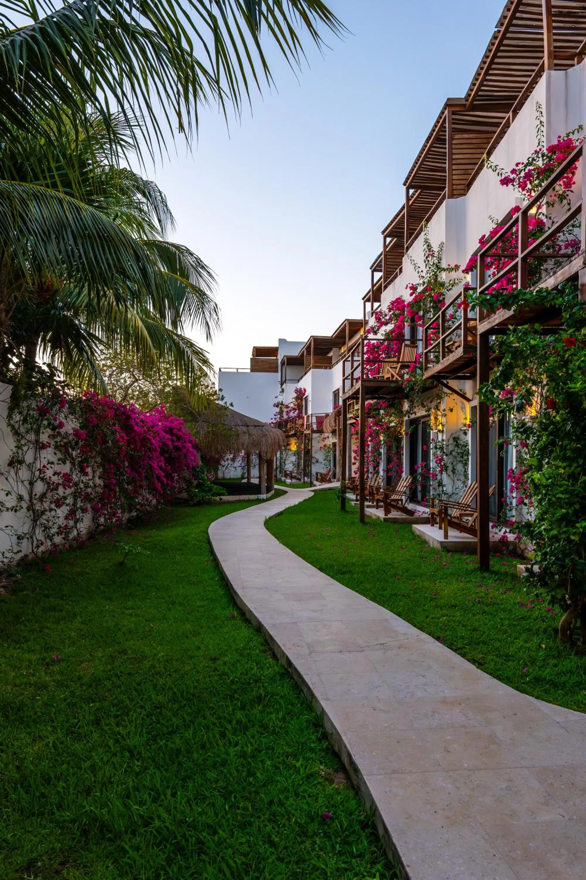 Garden view in My Blue Hotel Holbox