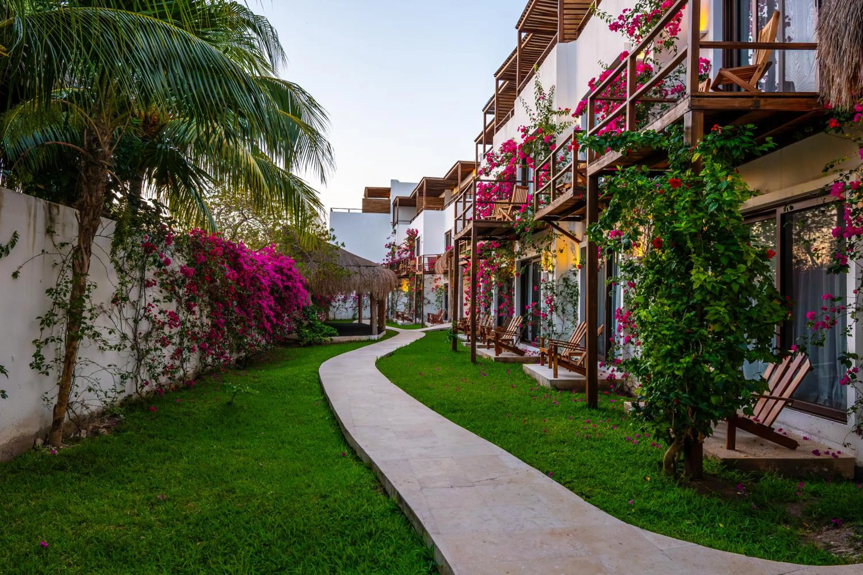 Garden view in My Blue Hotel Holbox