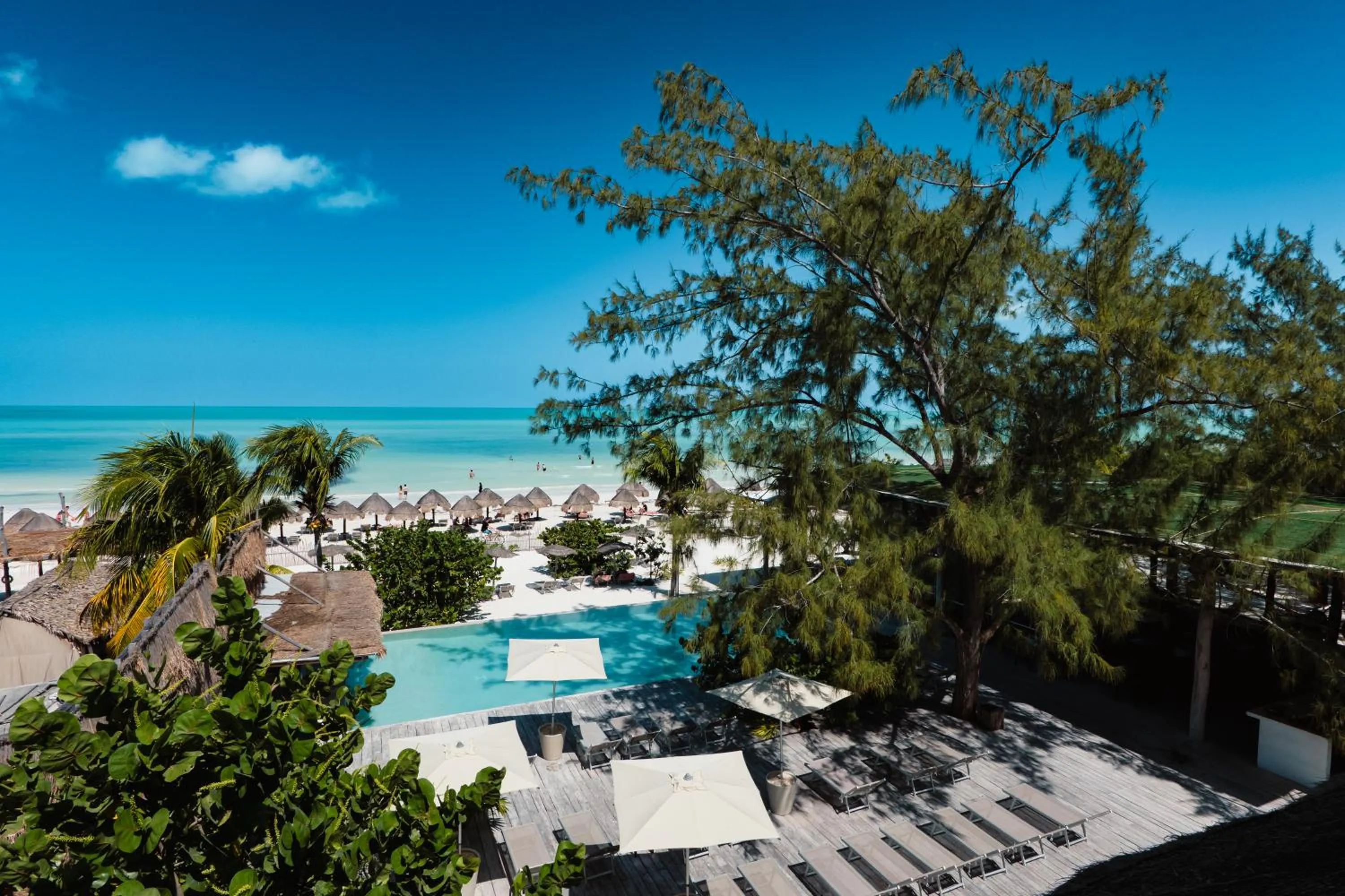 Natural landscape in My Blue Hotel Holbox