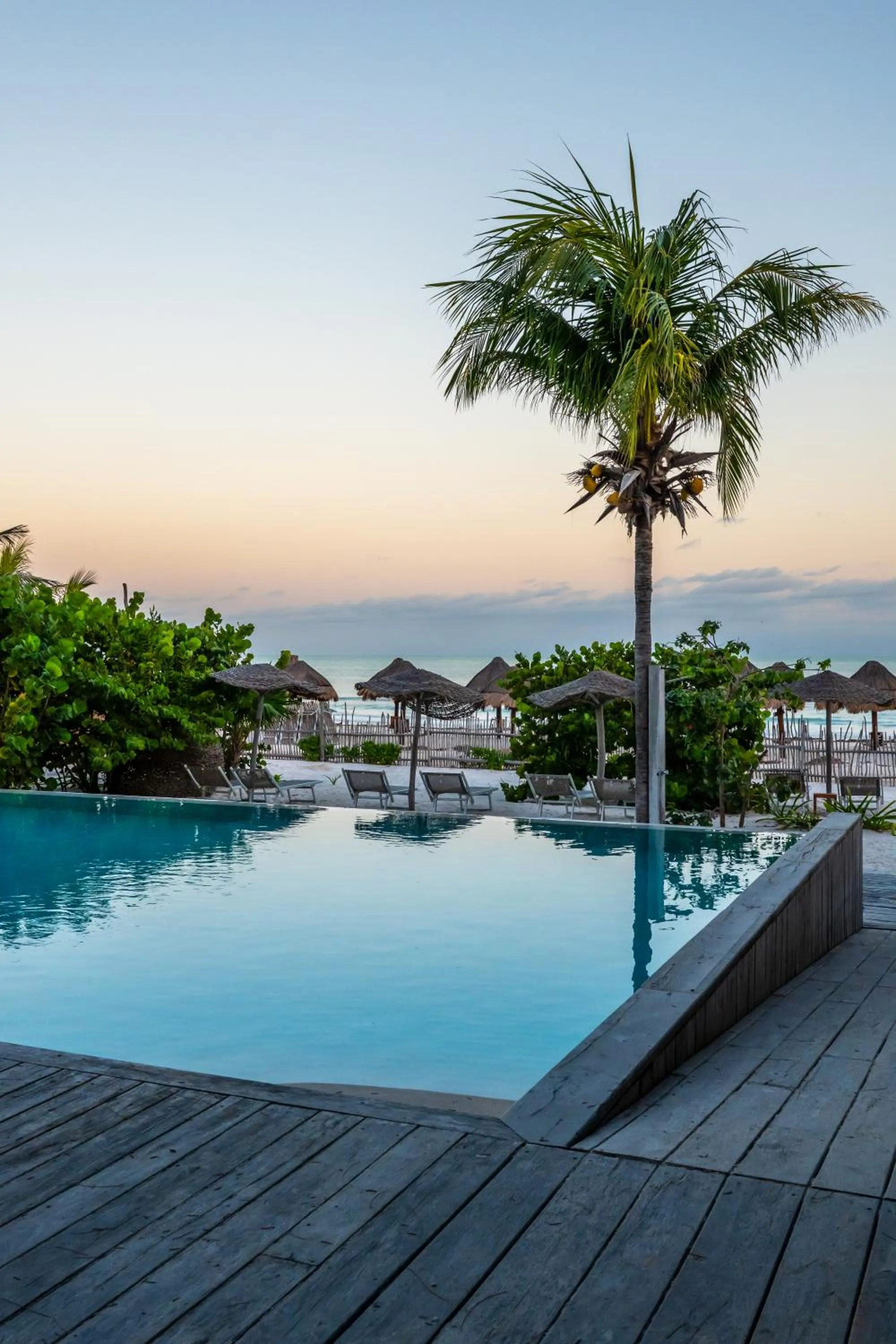 Beach in My Blue Hotel Holbox