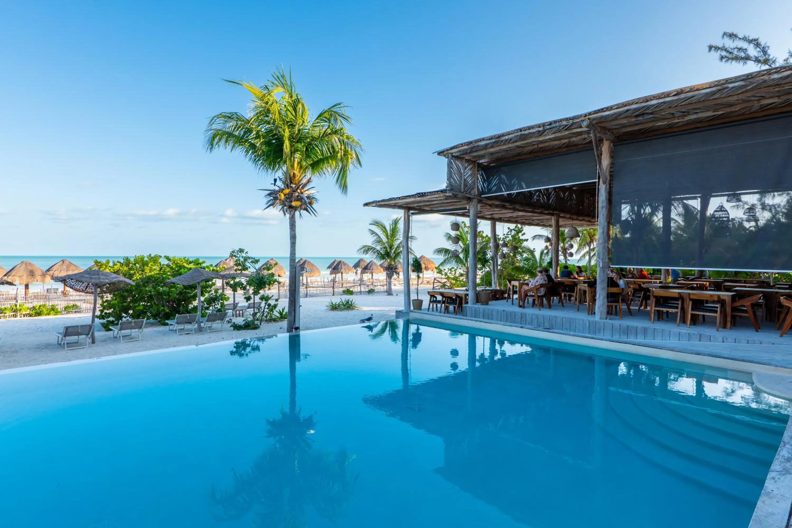 Restaurant/places to eat in My Blue Hotel Holbox