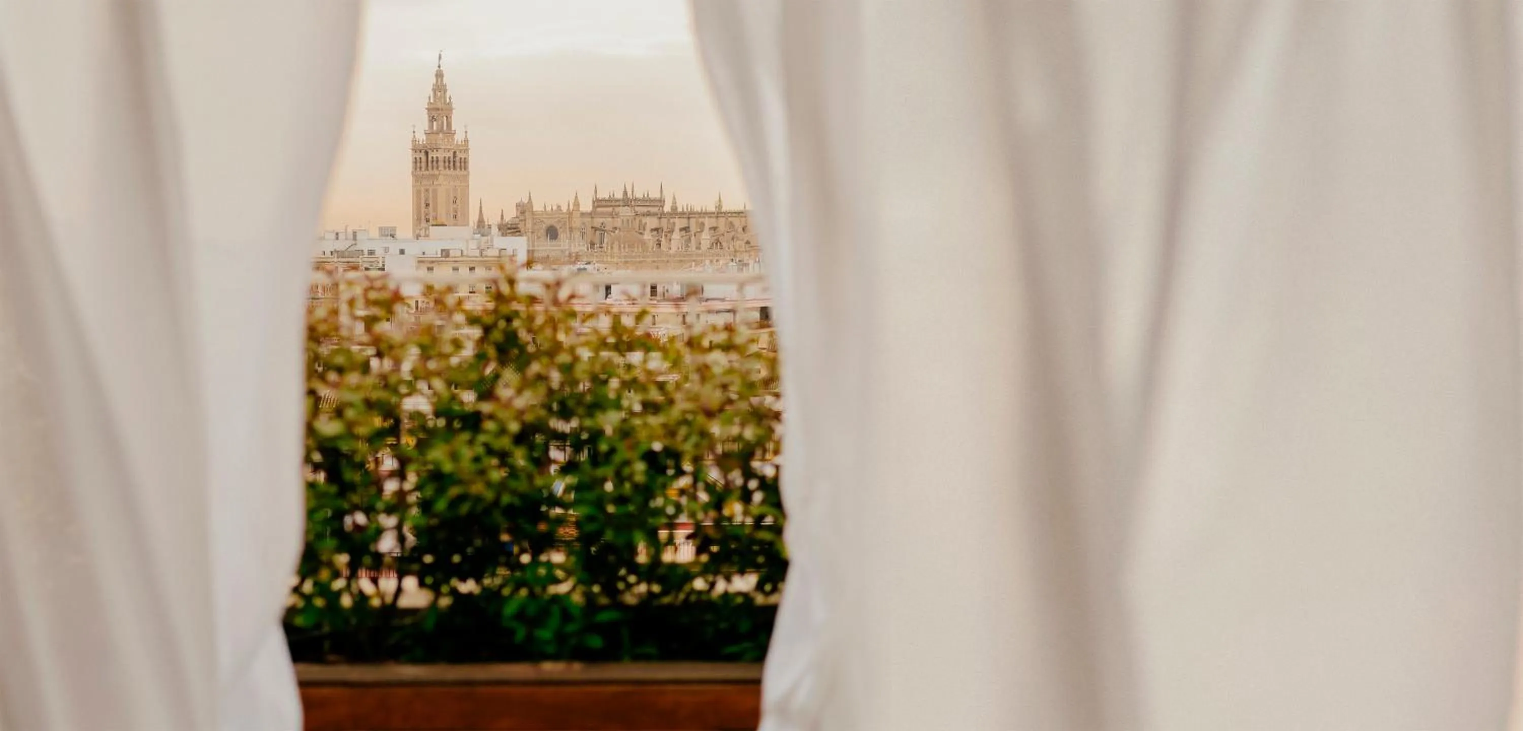 View (from property/room) in Hotel Colón Gran Meliá - The Leading Hotels of the World