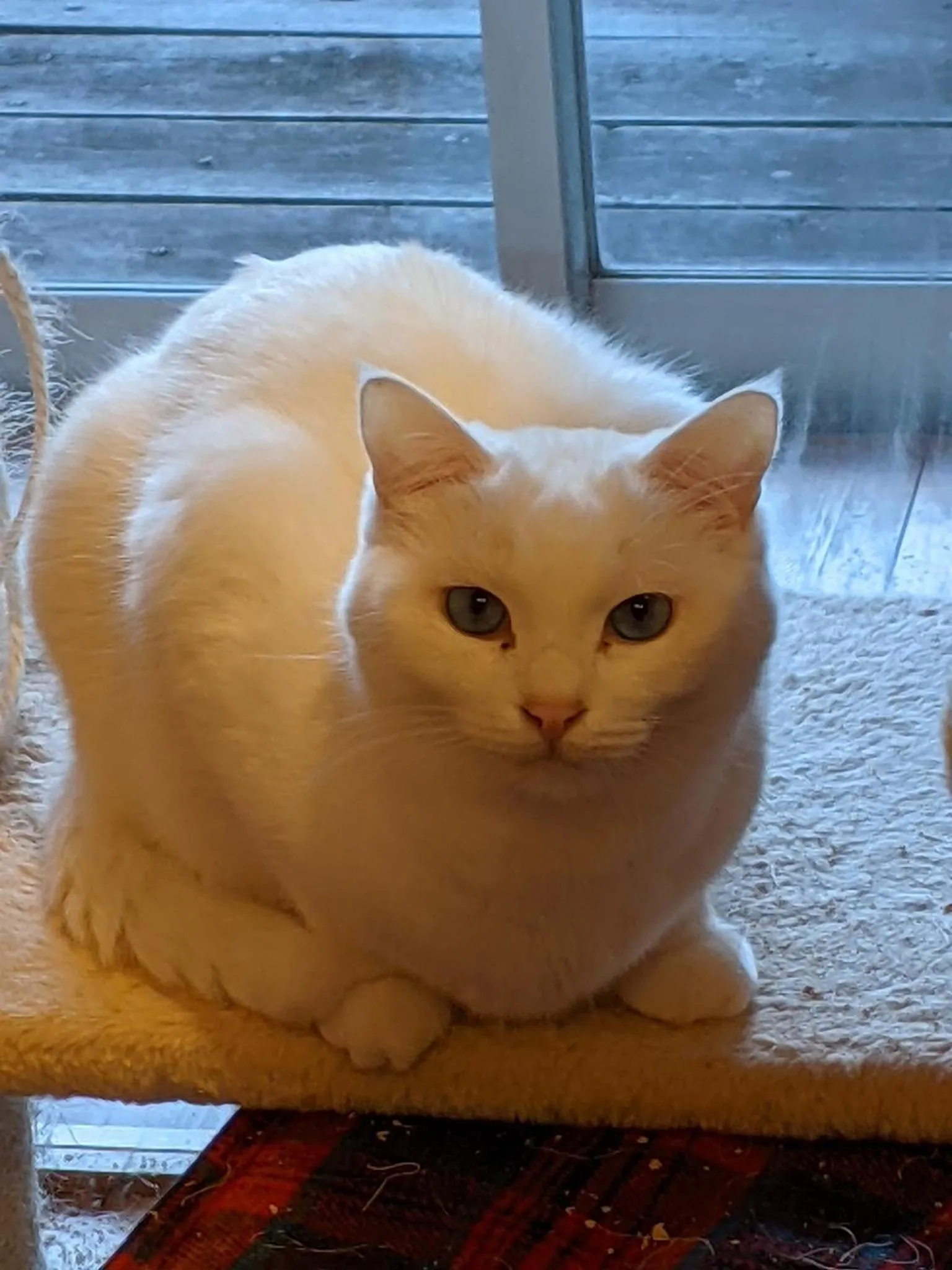 Pension Alba - Vacation STAY 70925v