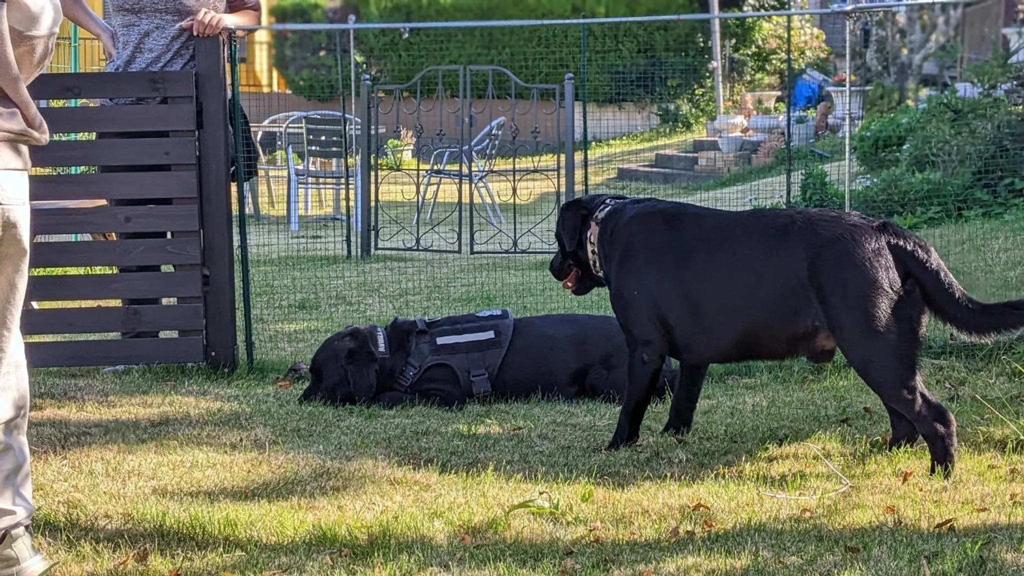 Pension Alba - Vacation STAY 70925v