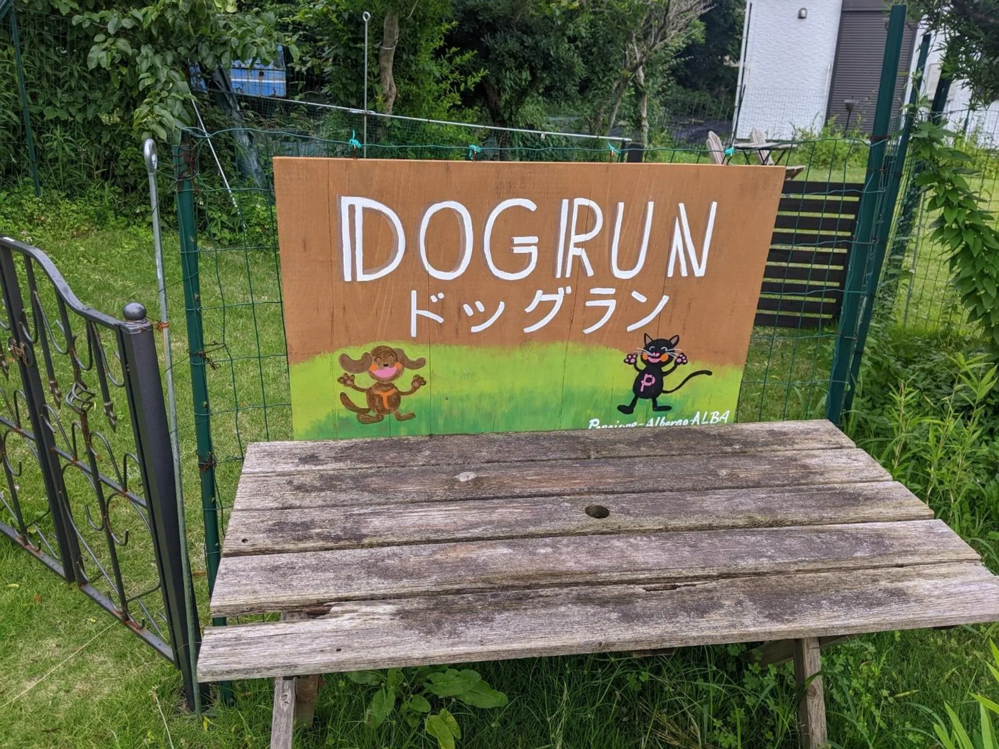 Pension Alba - Vacation STAY 70925v