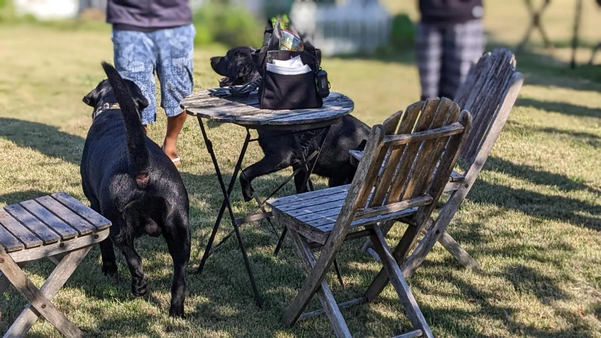 Pension Alba - Vacation STAY 70925v