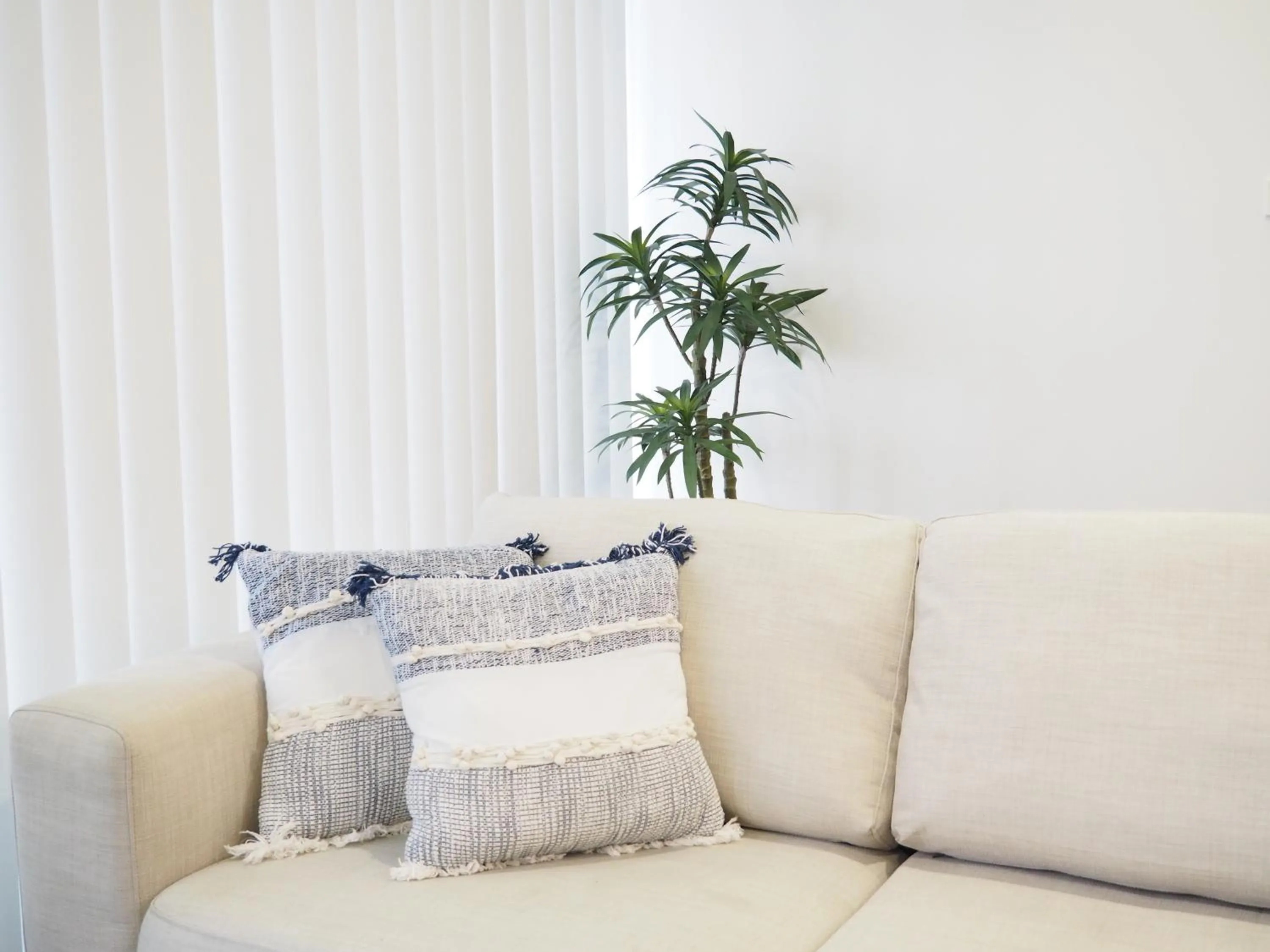 Living room in Warners Bay Apartments