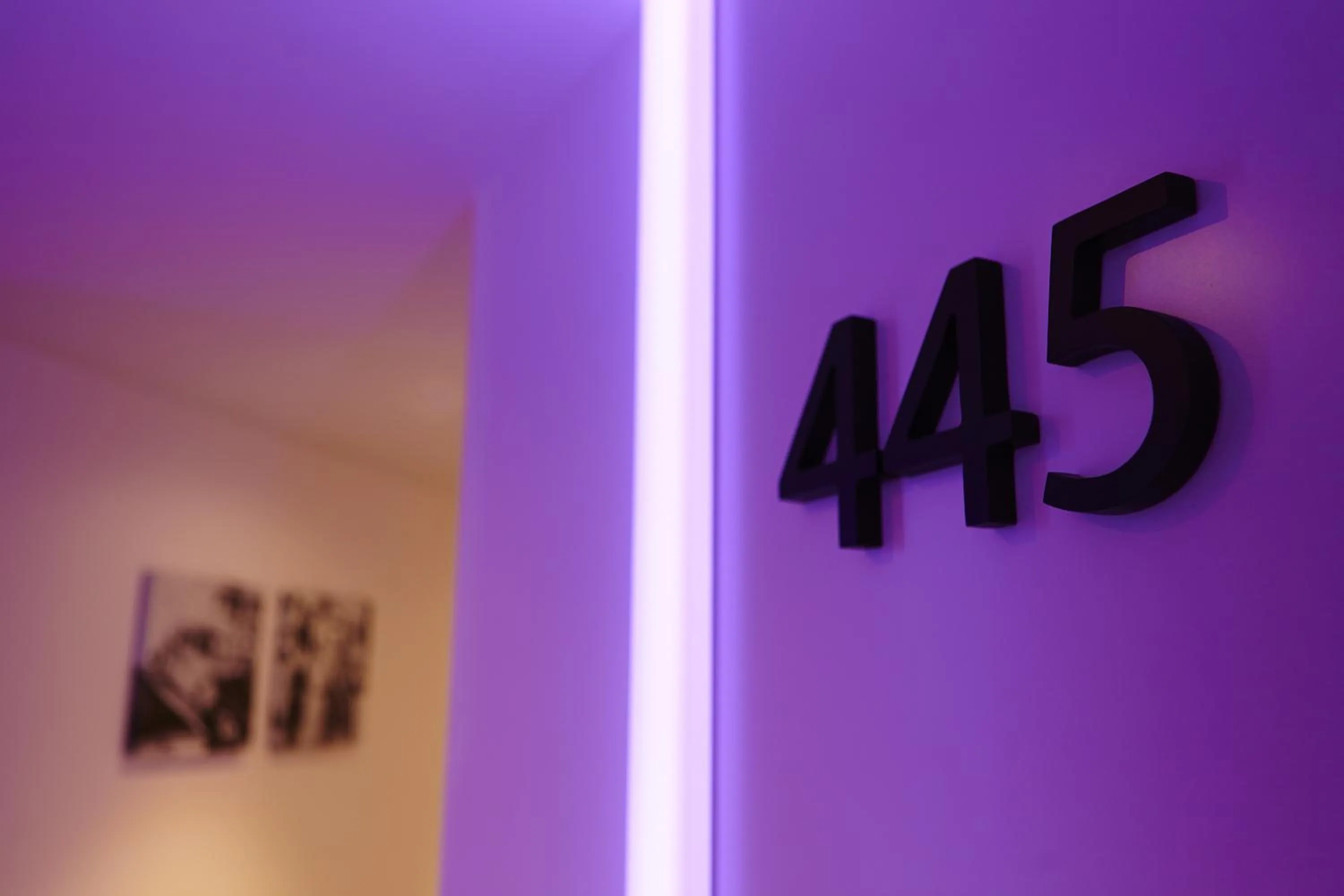 Area and facilities in Hotel Garbi Ibiza & Spa