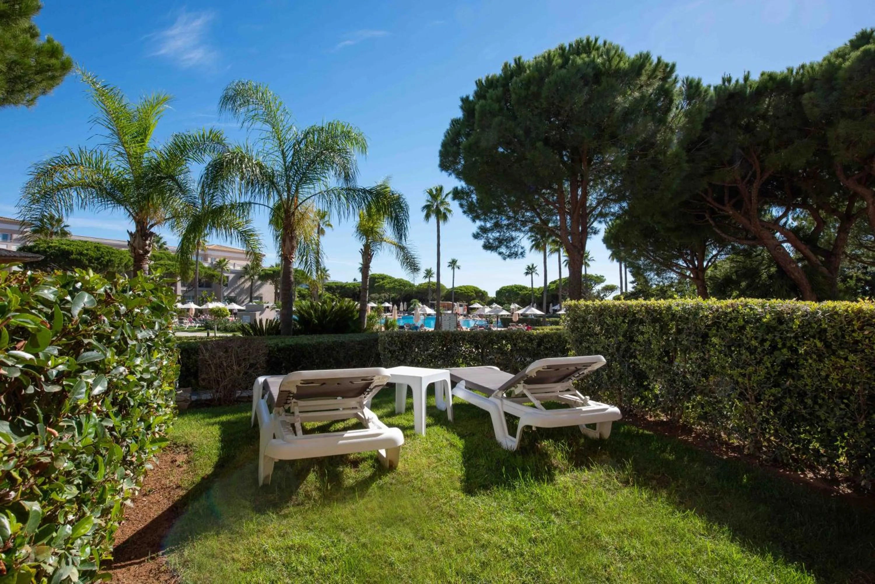 Garden in Valentin Sancti Petri