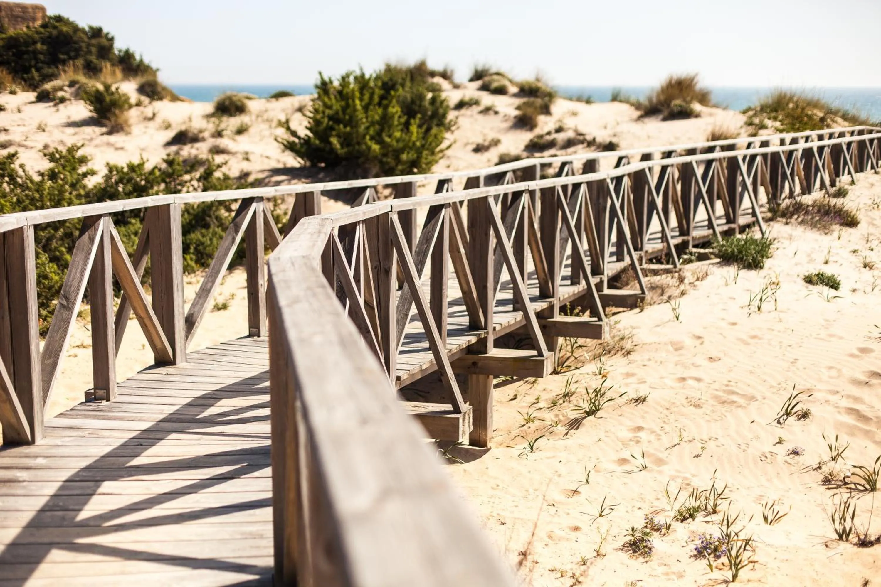 Facade/entrance in Valentin Sancti Petri