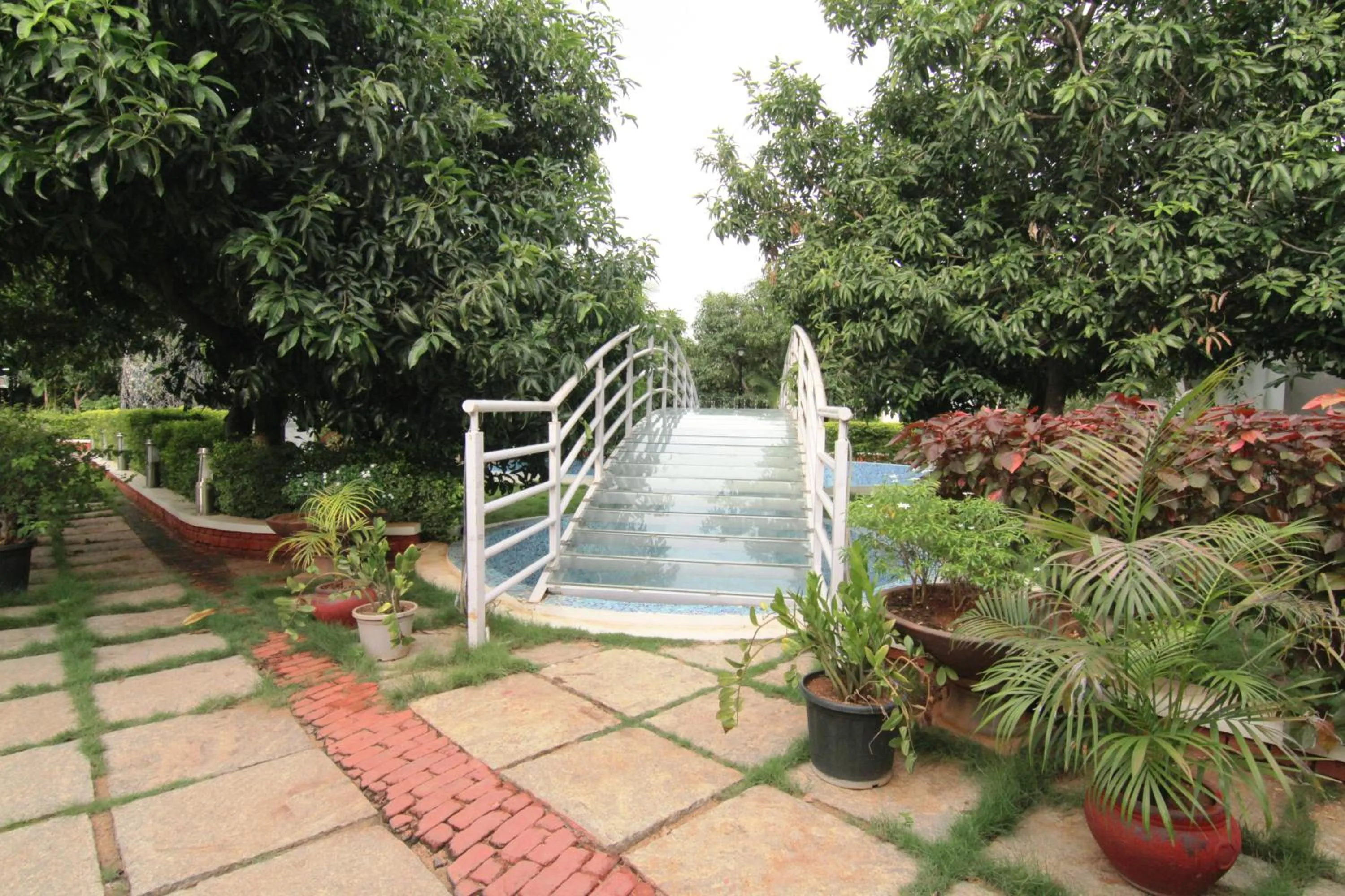 Garden in Reva Resorts and Holiday Homes