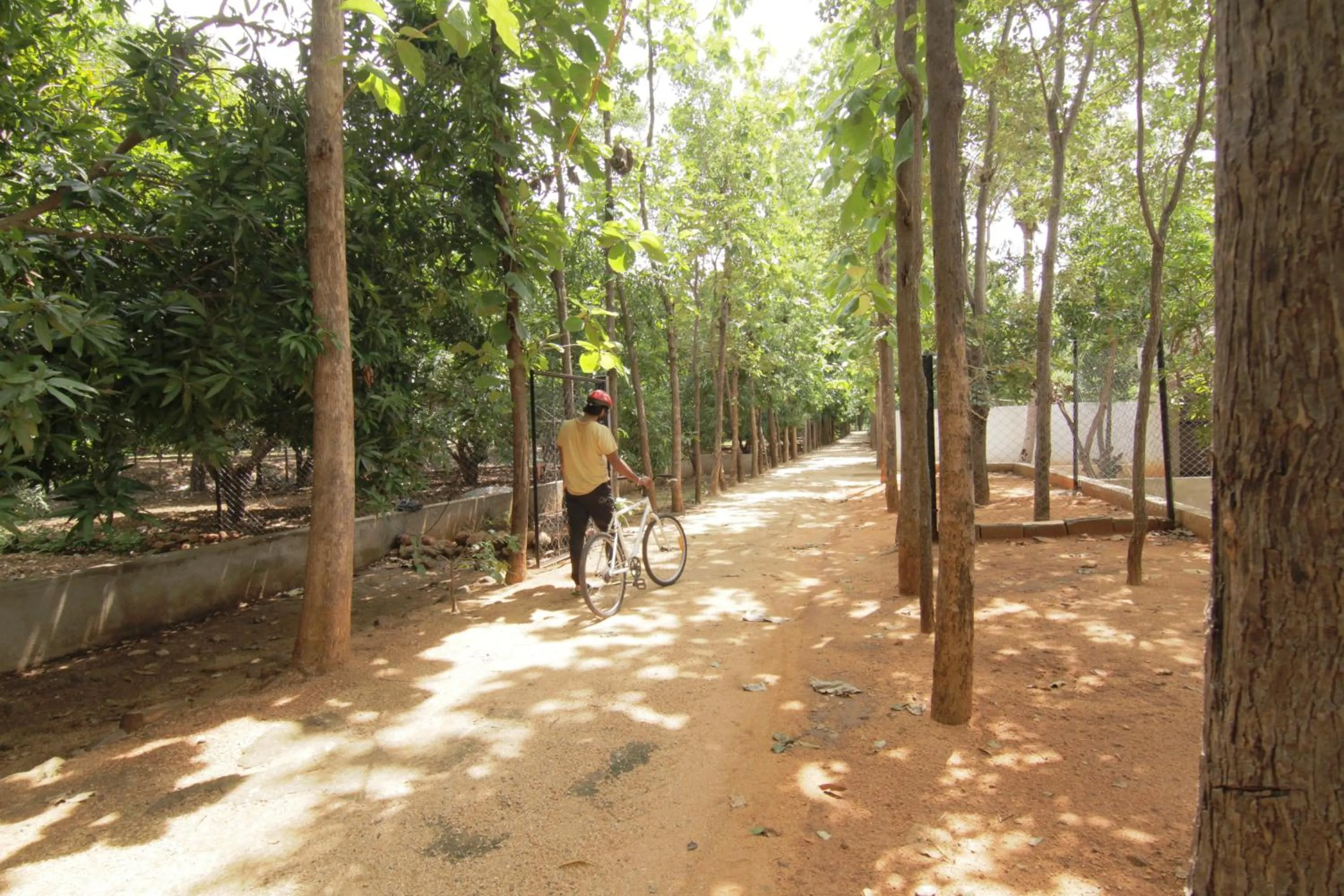 Natural landscape in Reva Resorts and Holiday Homes