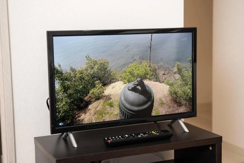 TV and multimedia in HIRO BUILDING Apartment Stay