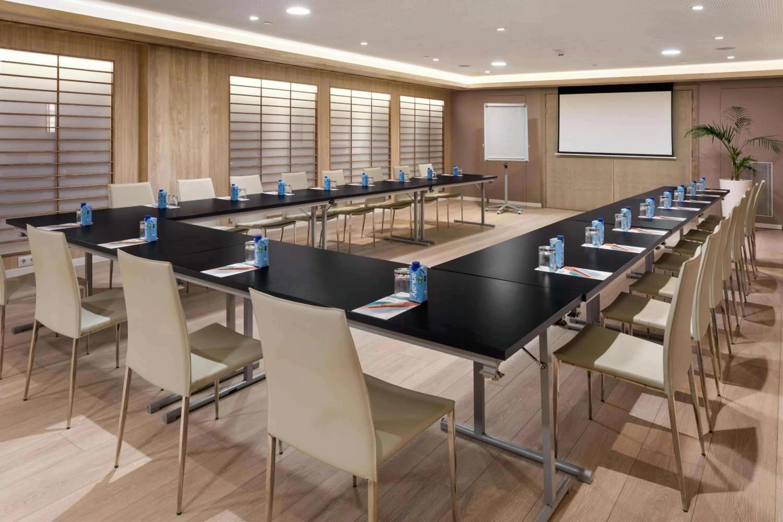 Meeting/conference room in Melia Castilla