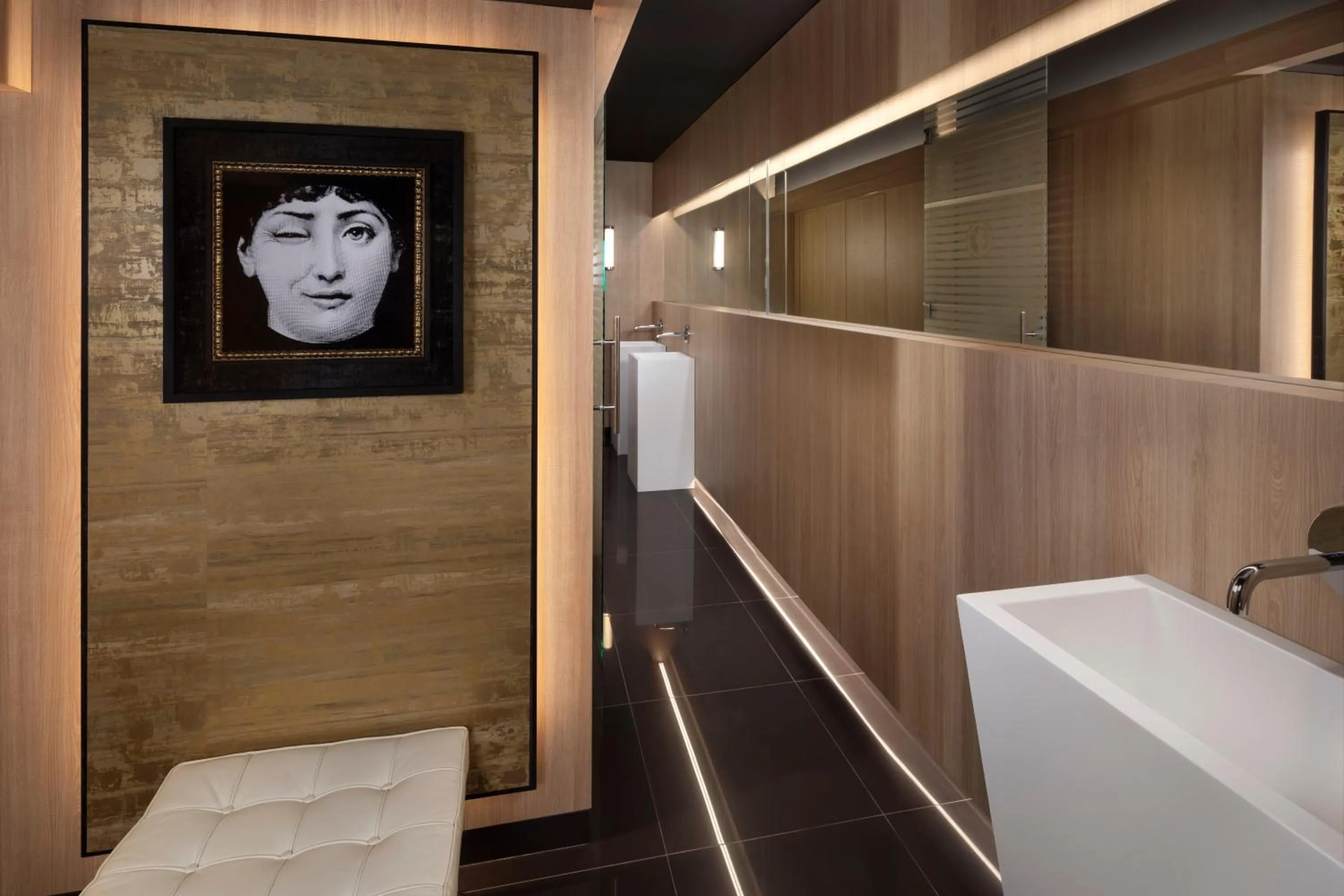 Area and facilities in Melia Castilla