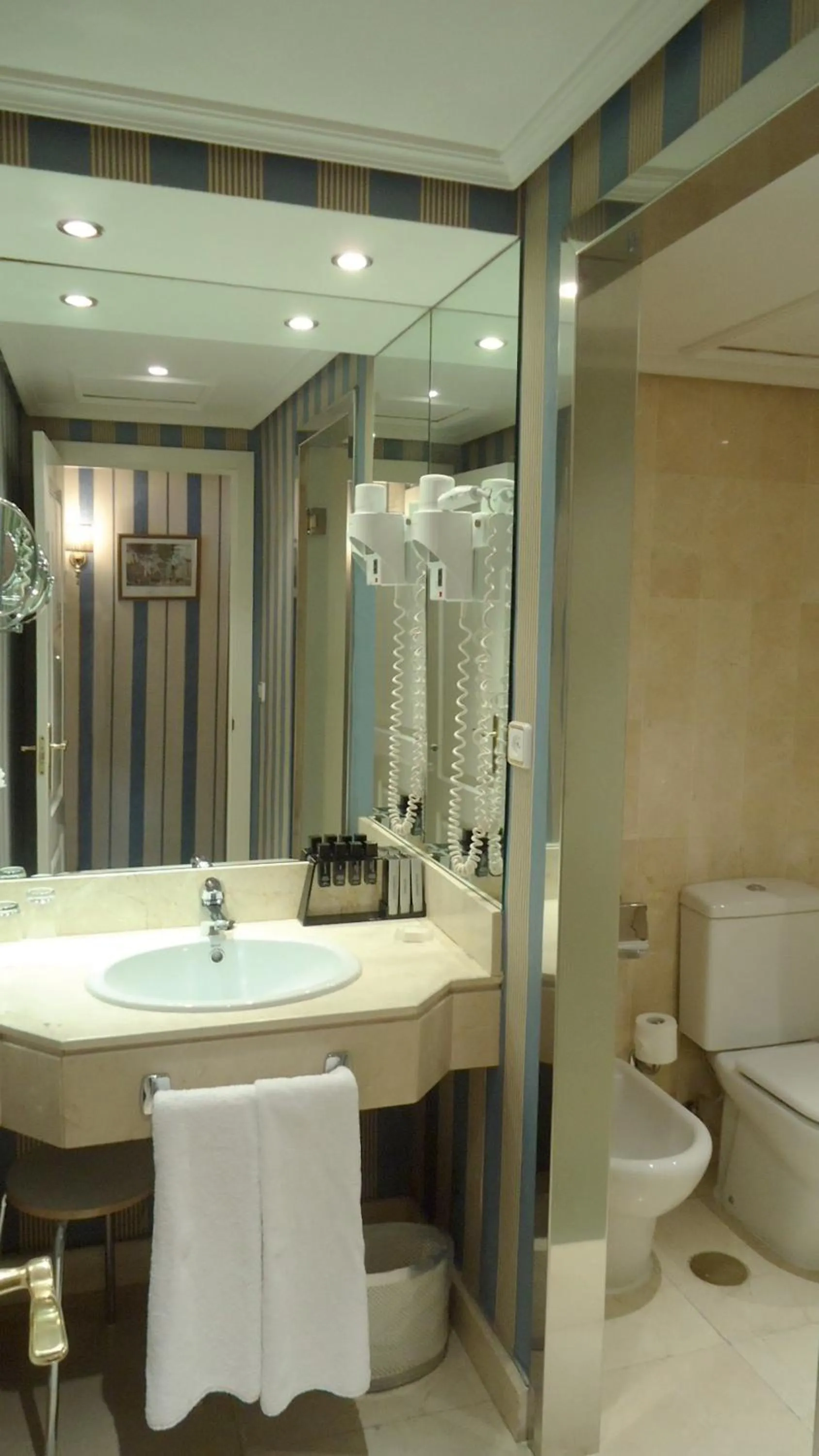 Toilet in Melia Castilla