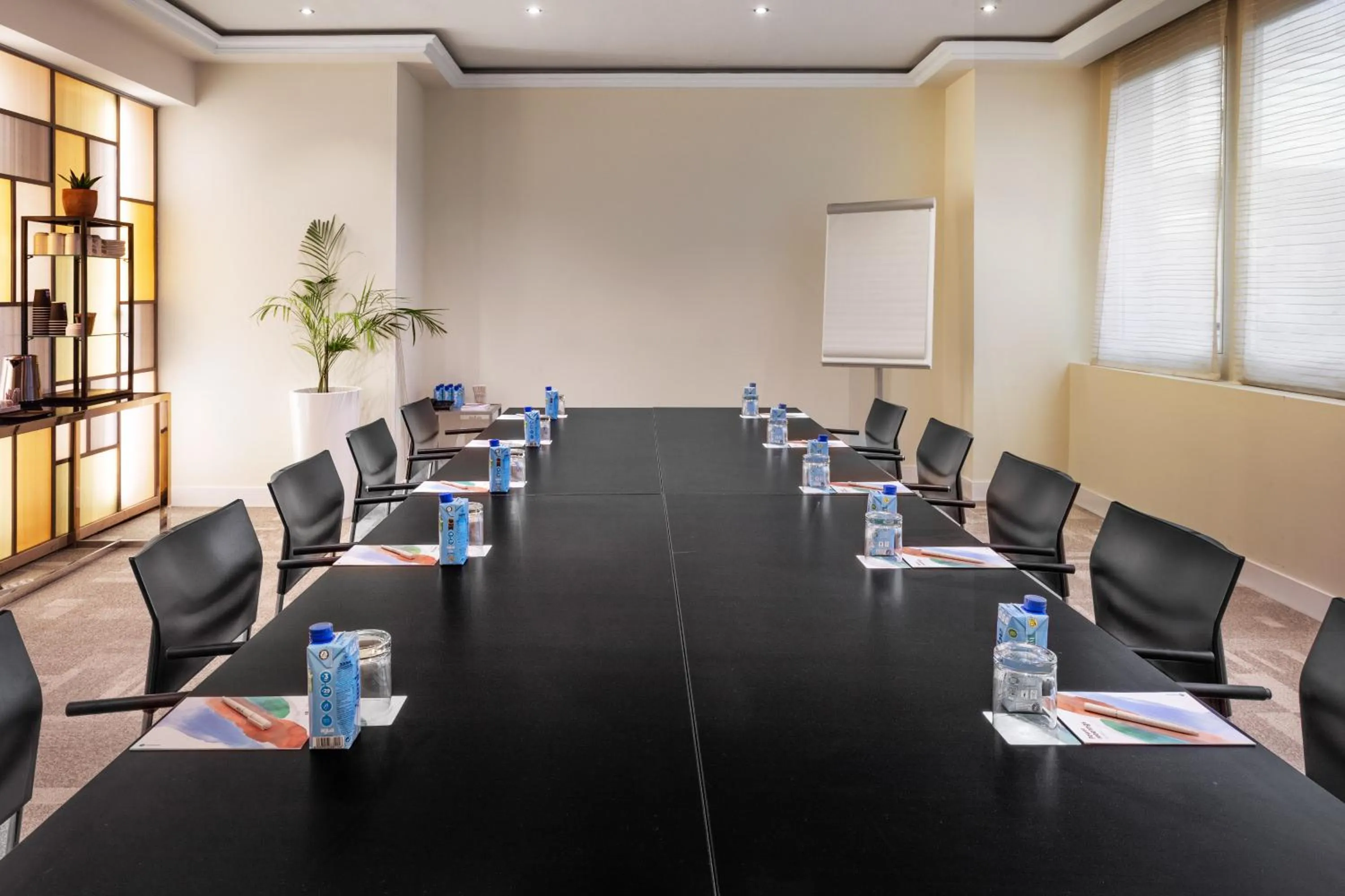 Meeting/conference room in Melia Castilla