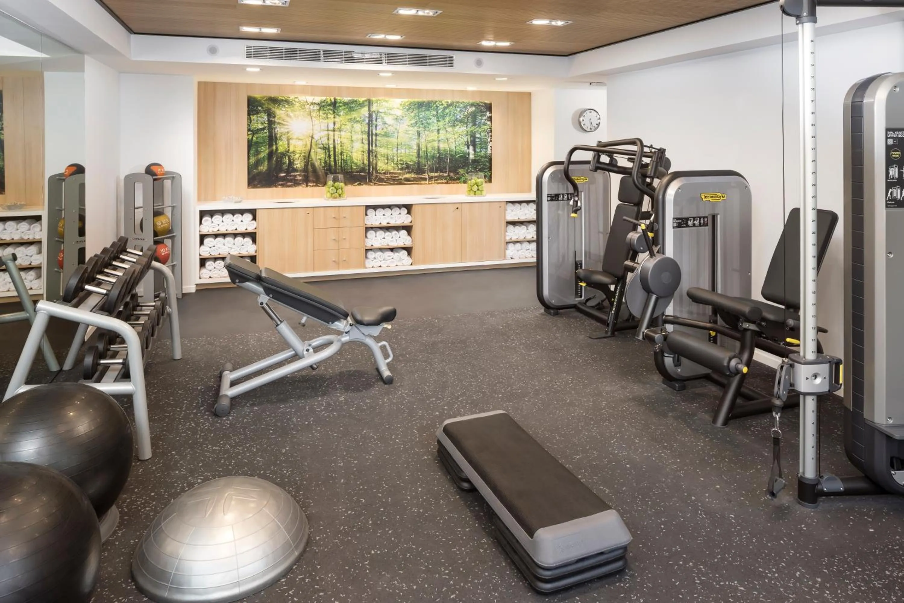 Fitness centre/facilities in Melia Castilla