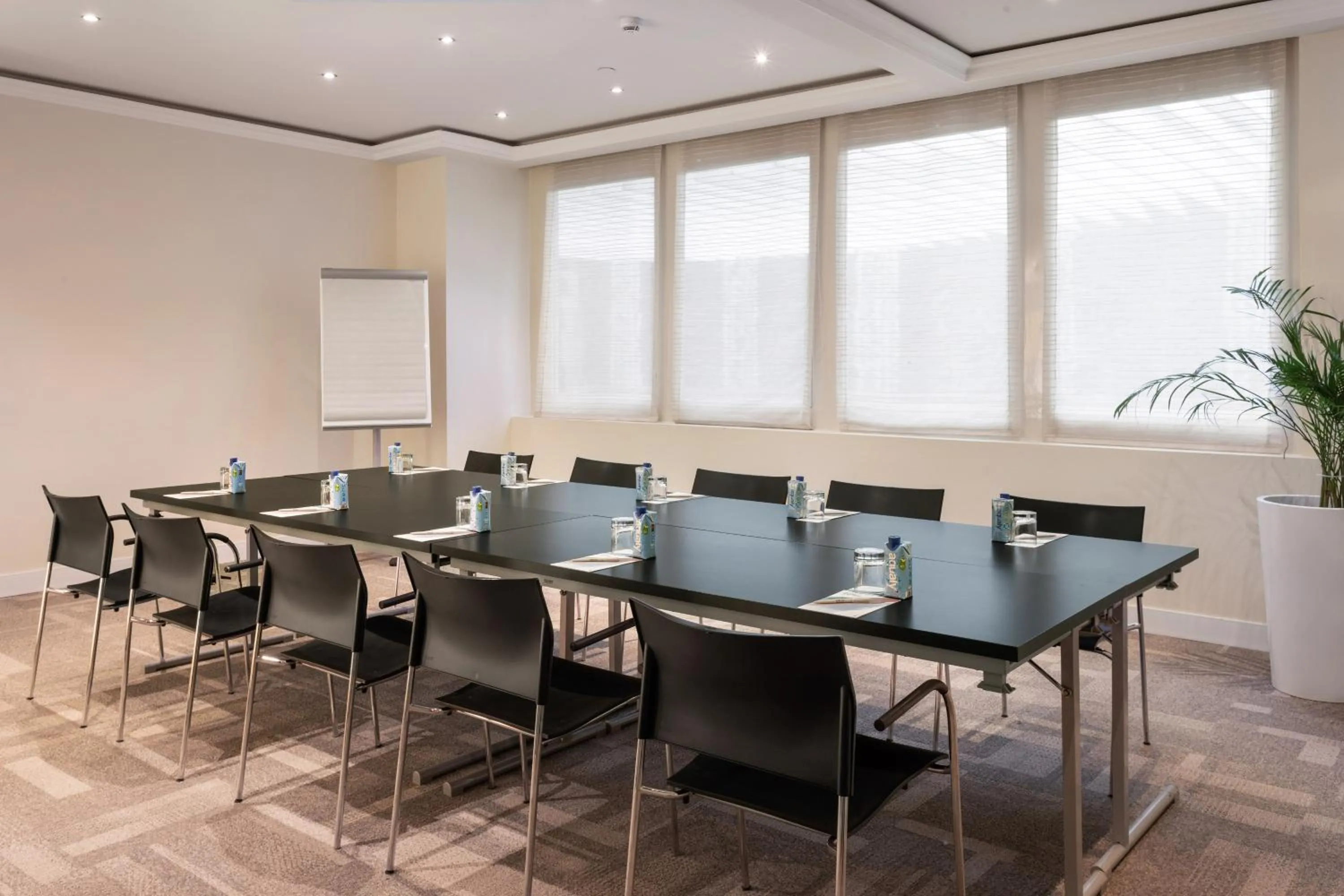 Meeting/conference room in Melia Castilla