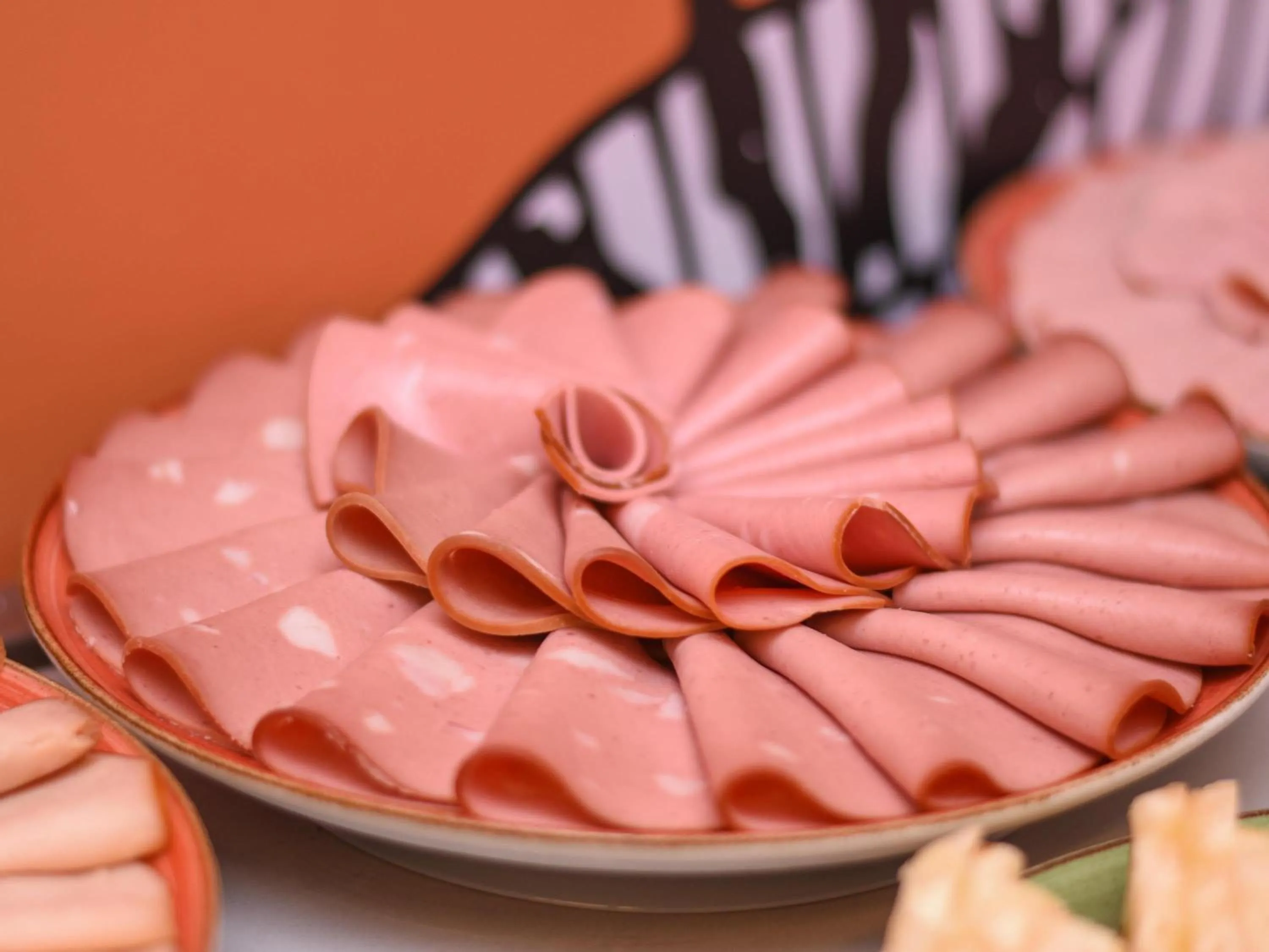 Other in Ibis Styles Garanhuns