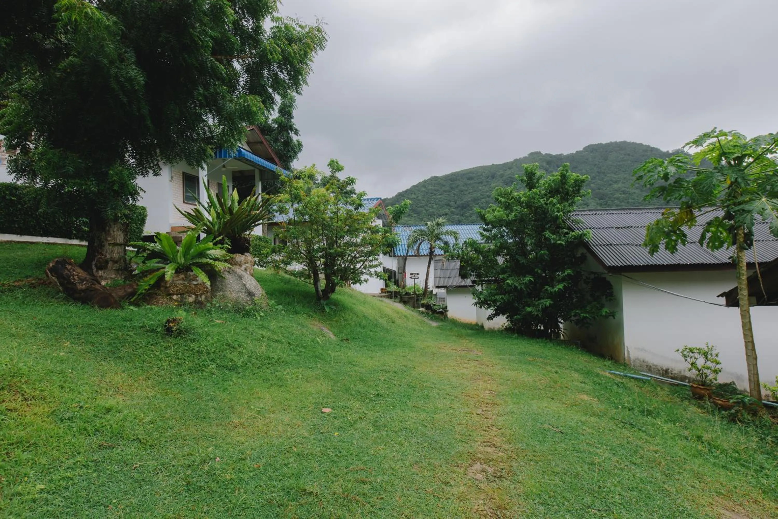 Garden view in Kataonsea bungalows