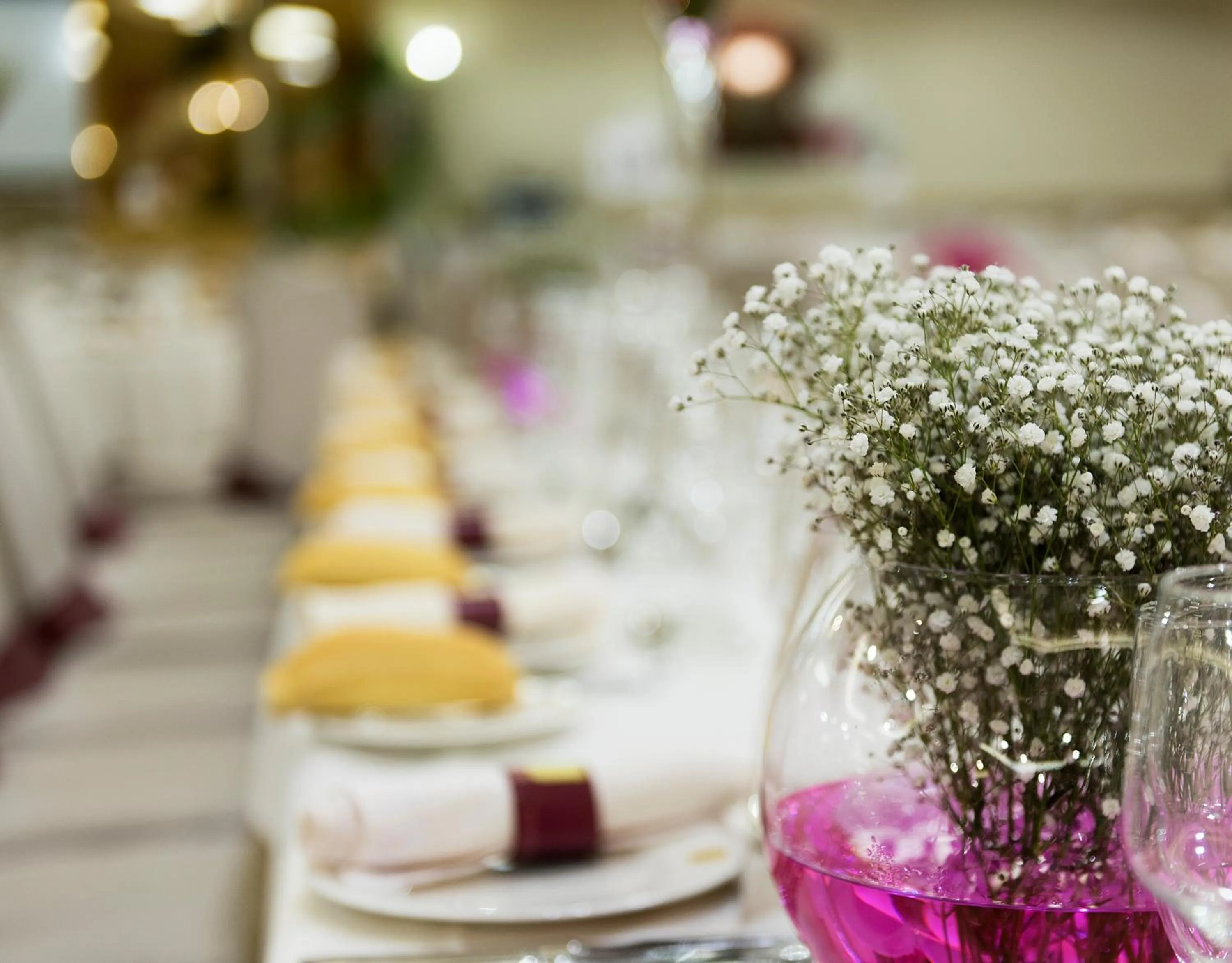 Banquet/Function facilities in Hotel Toboso Chaparil