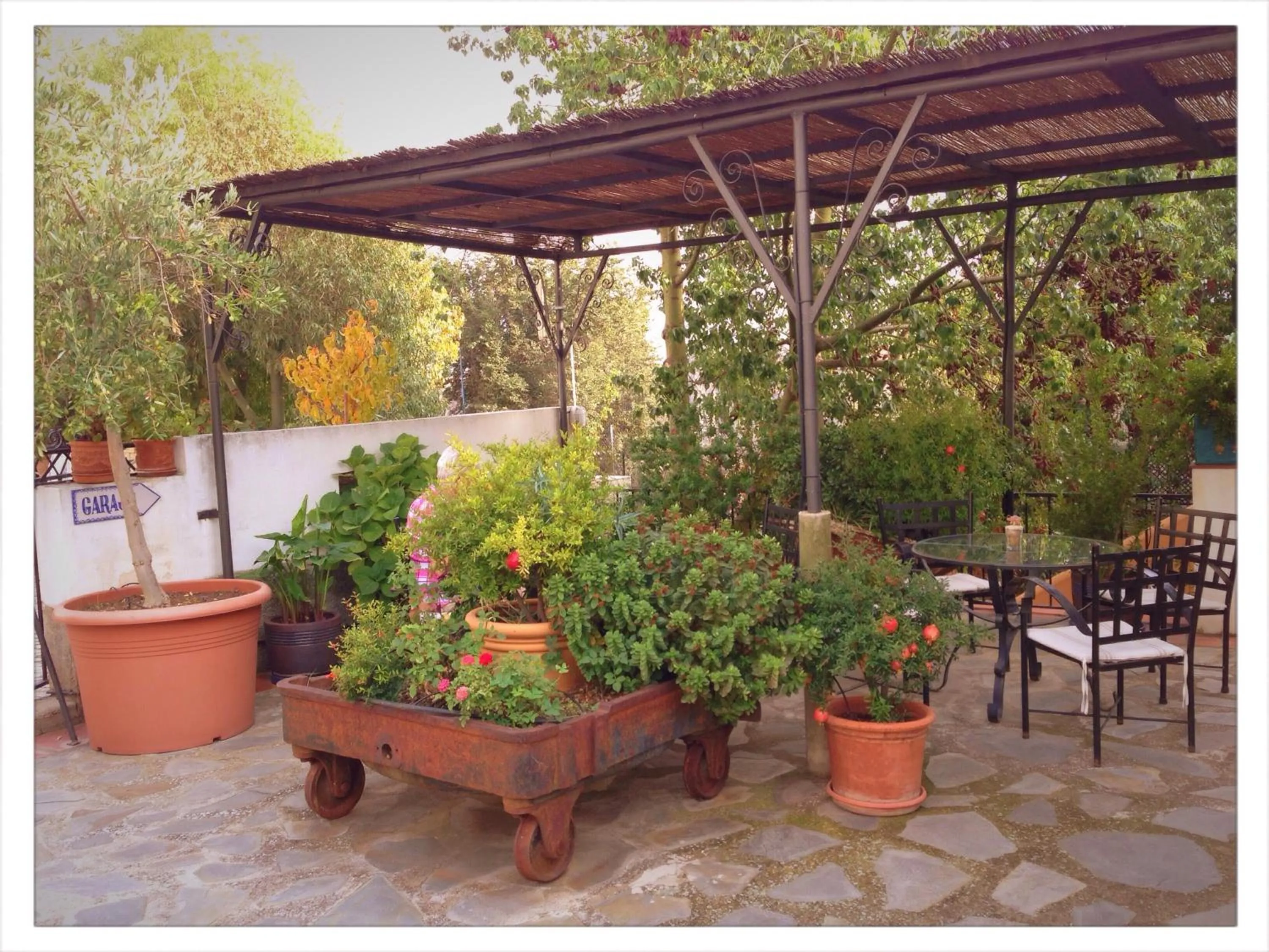 Patio in Hotel Alcadima