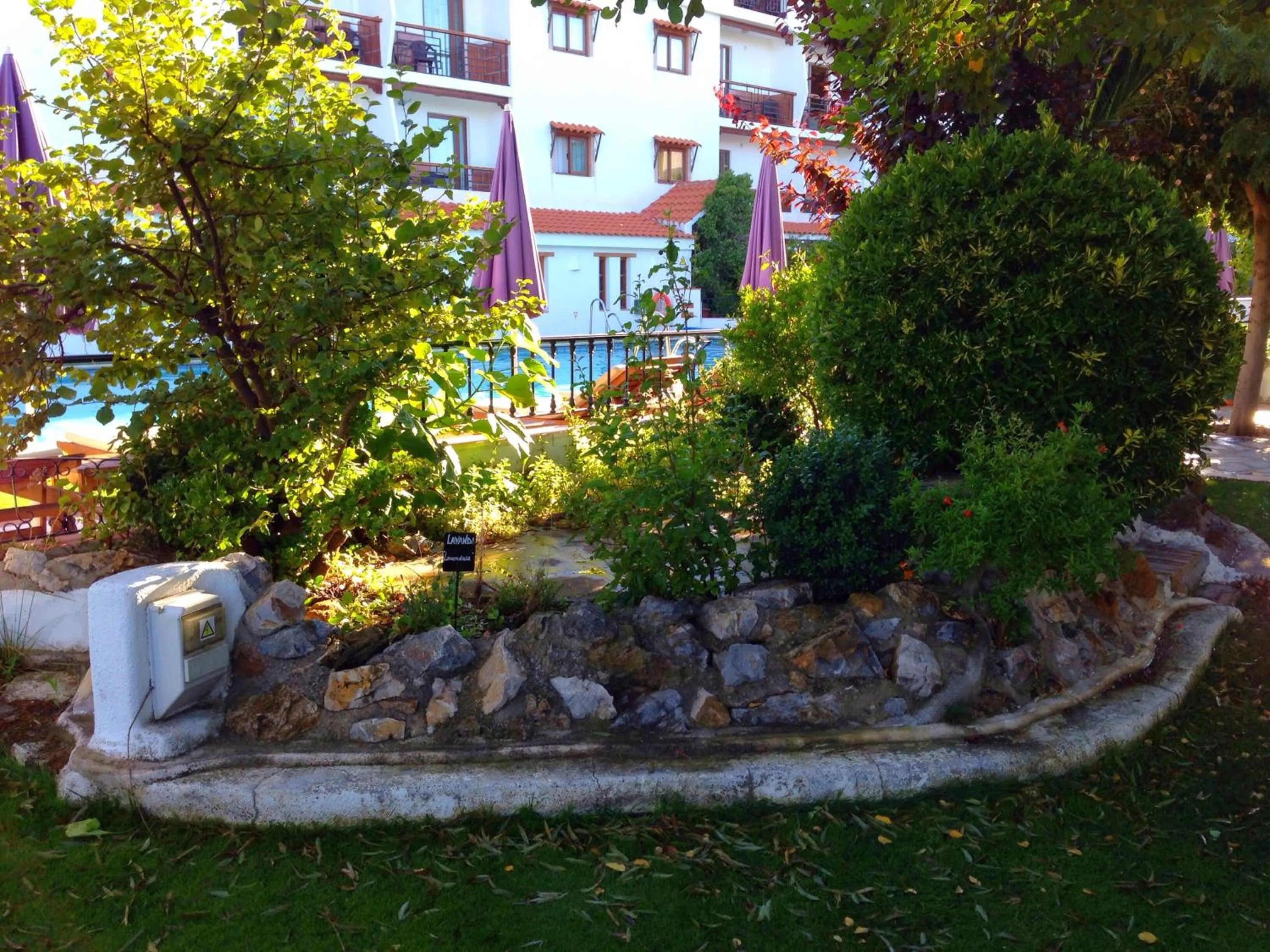 Day in Hotel Alcadima