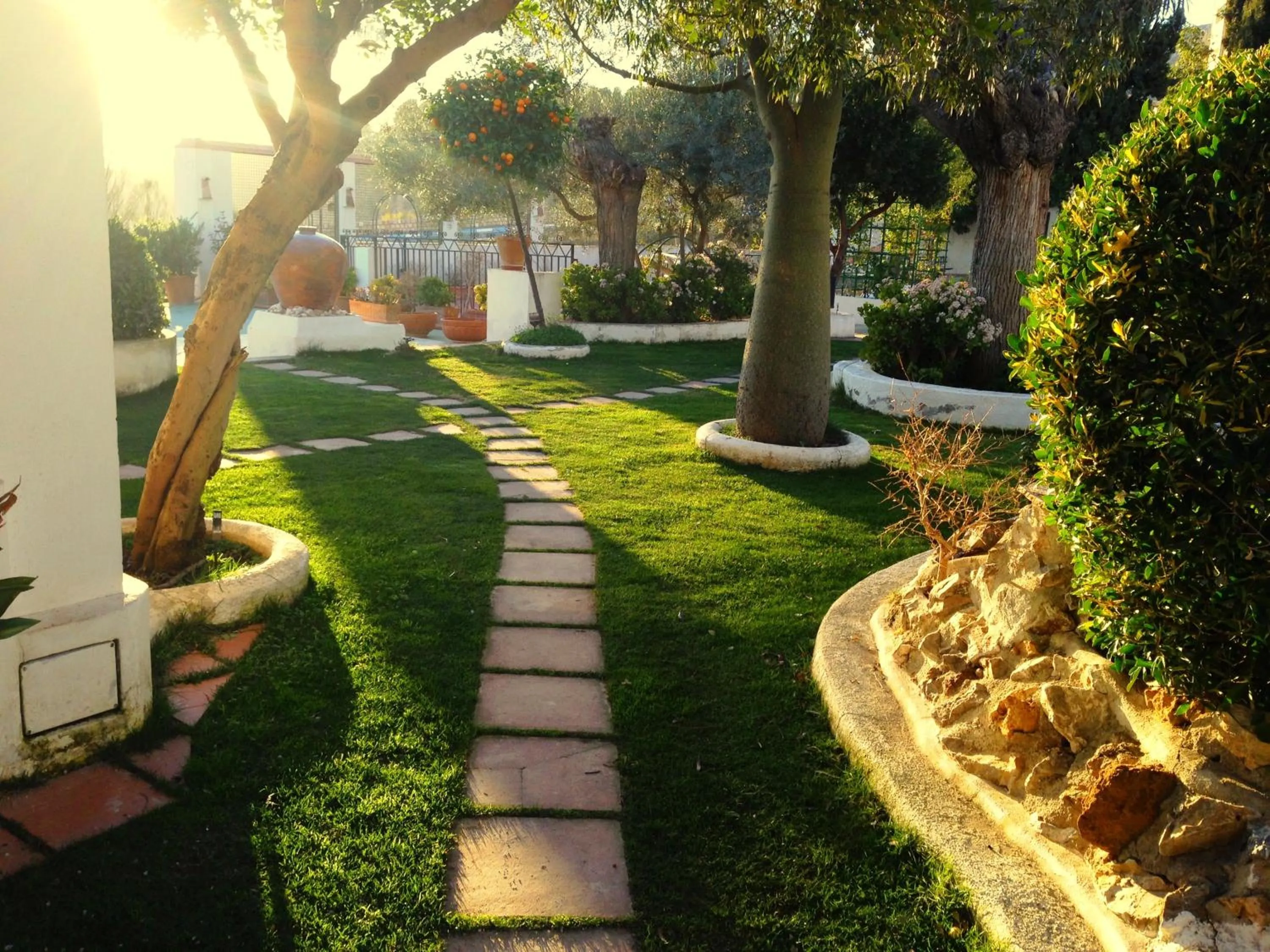 Garden in Hotel Alcadima