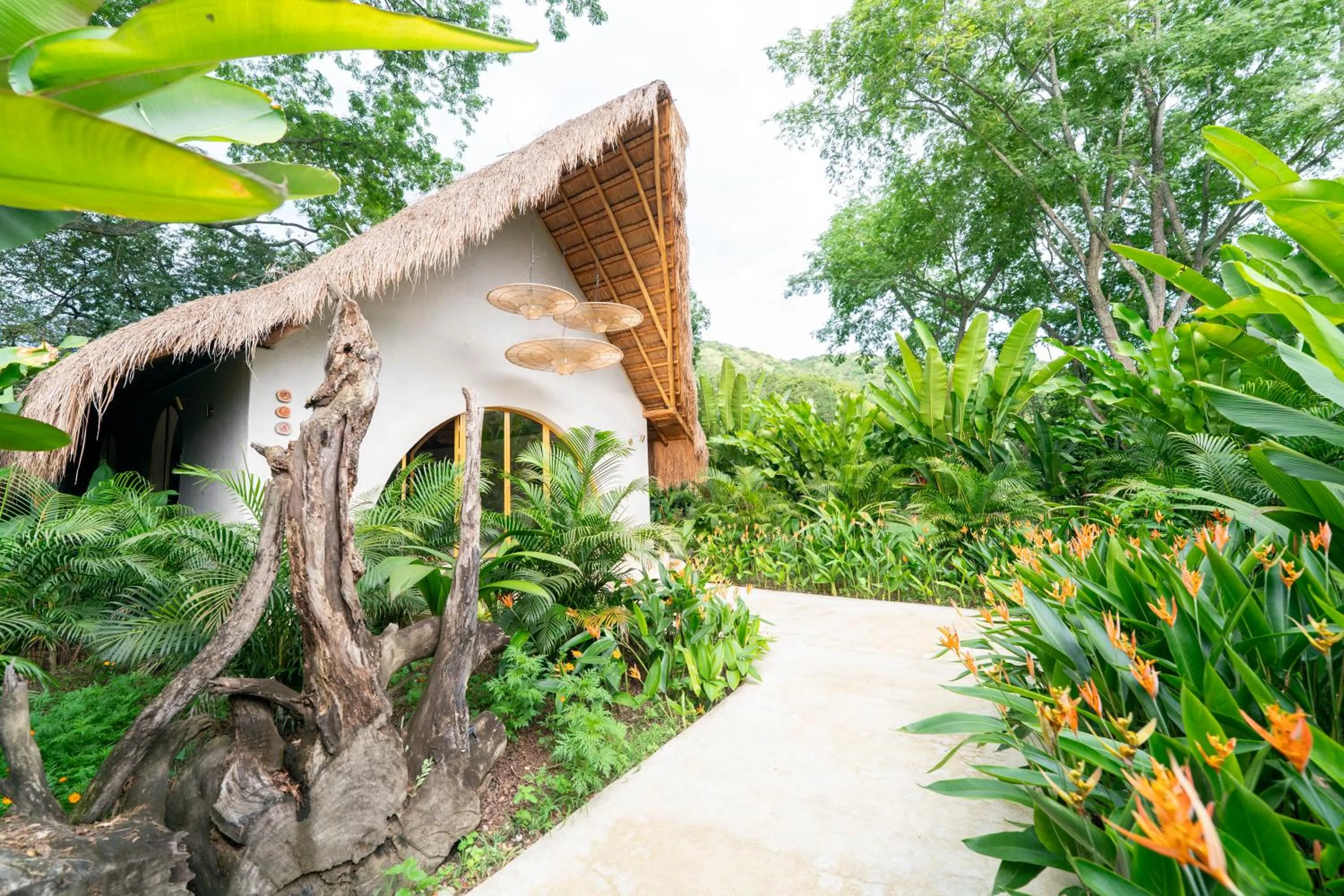 Meeting/conference room in Nativa Refugio Escondido
