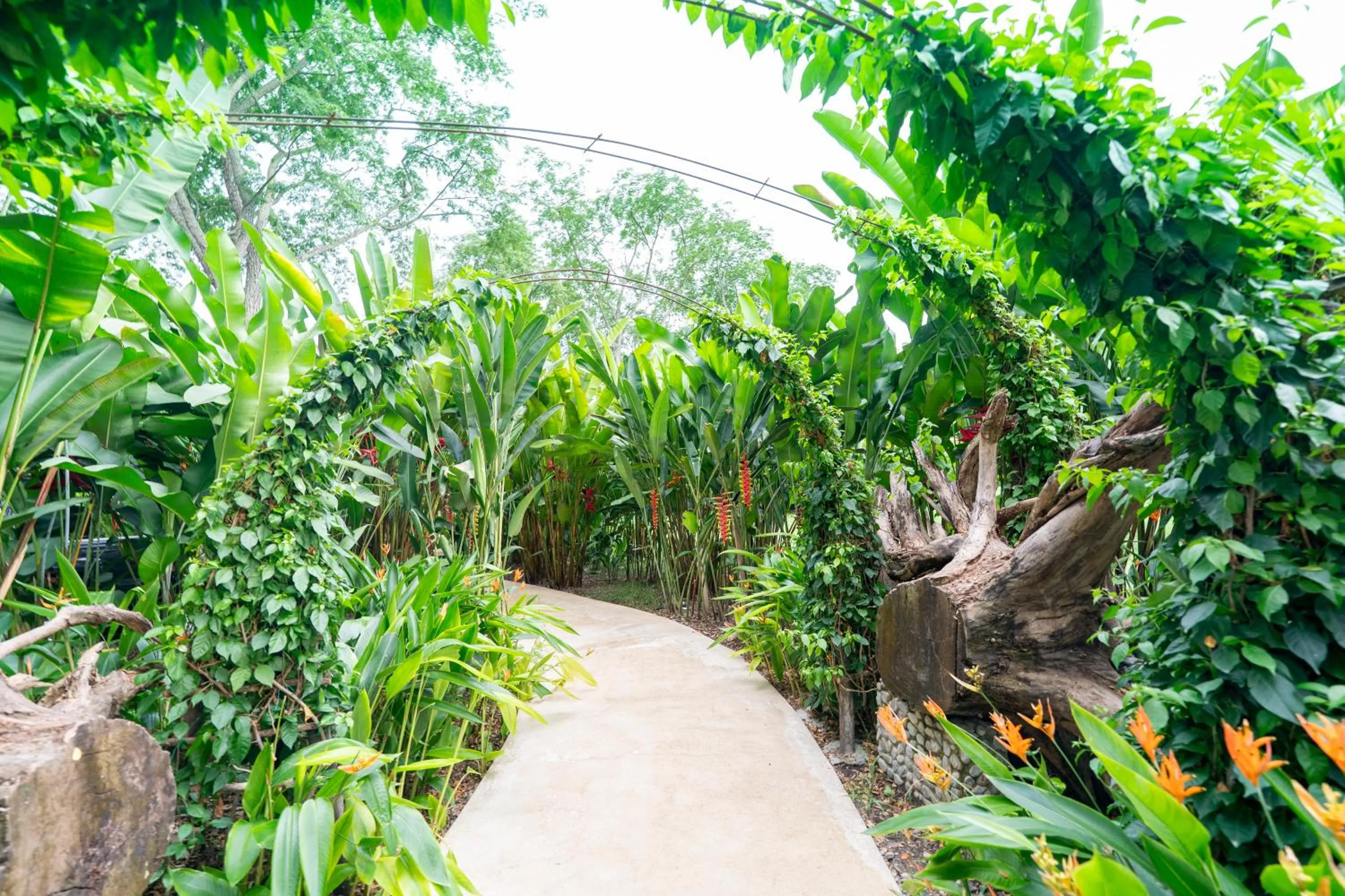 Garden in Nativa Refugio Escondido