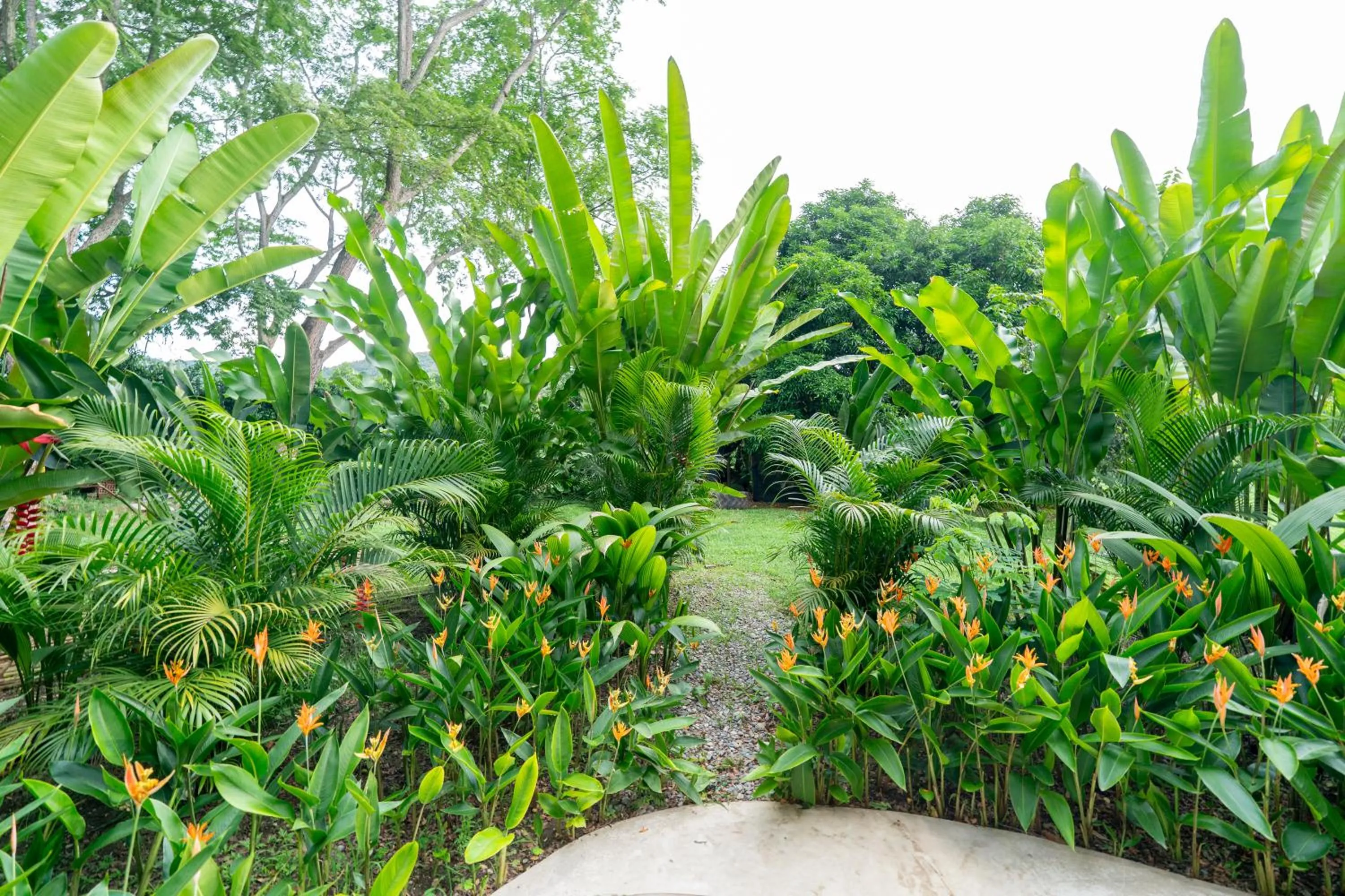 Garden in Nativa Refugio Escondido